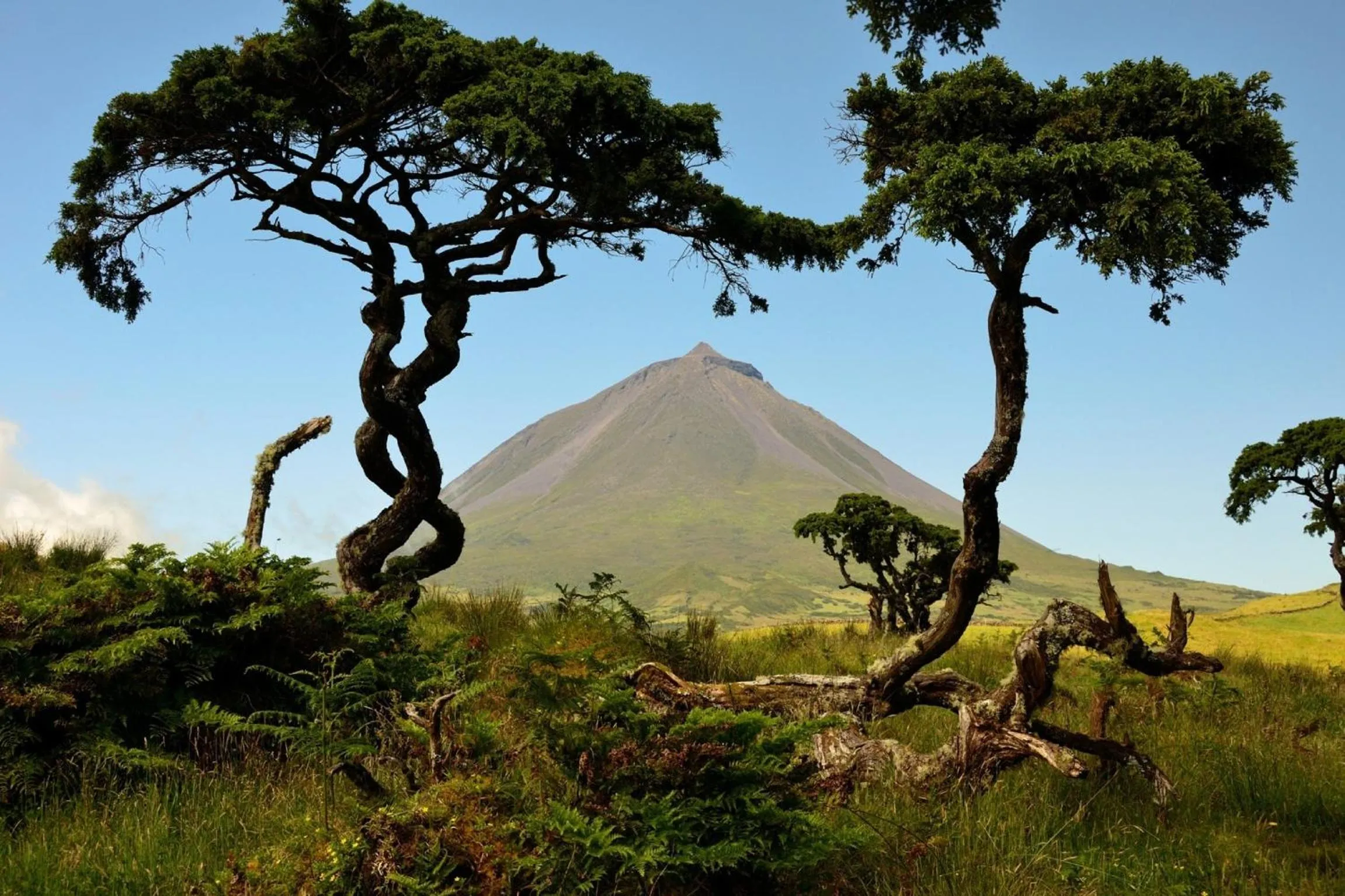 Area and facilities in Calma do Mar