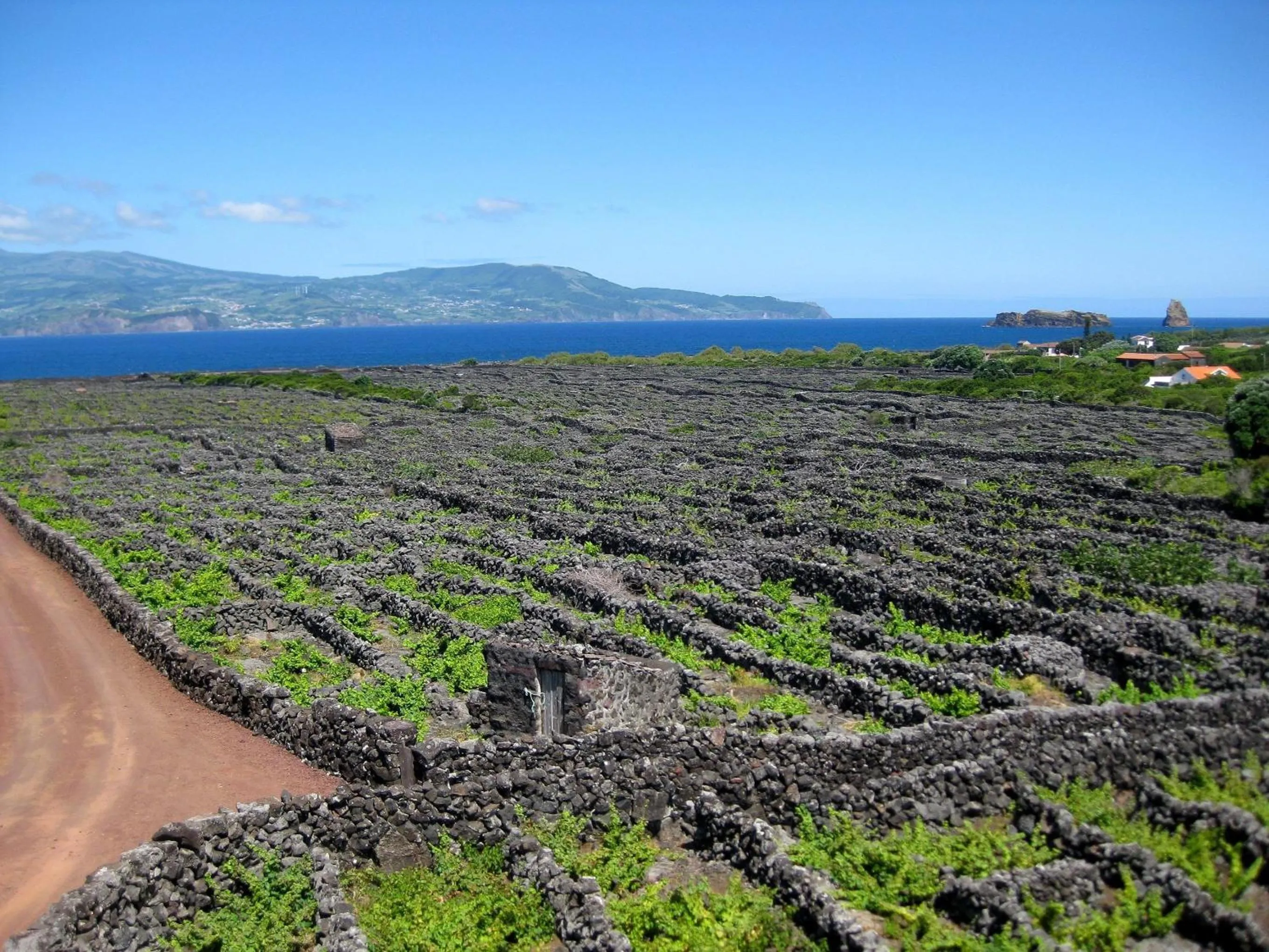 Area and facilities in Calma do Mar