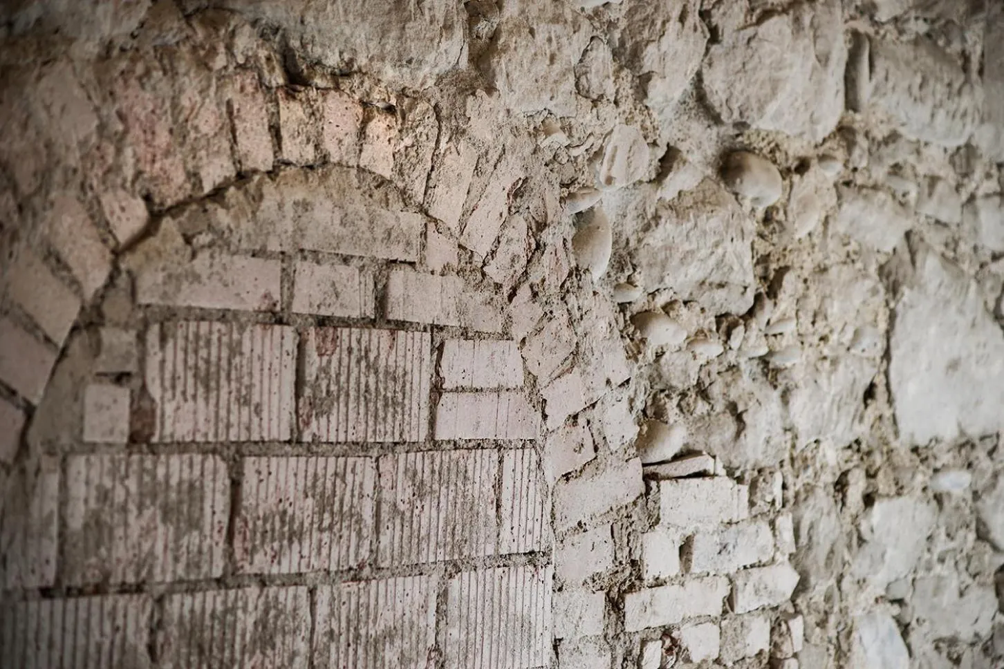 Gasthaus zum Trauben