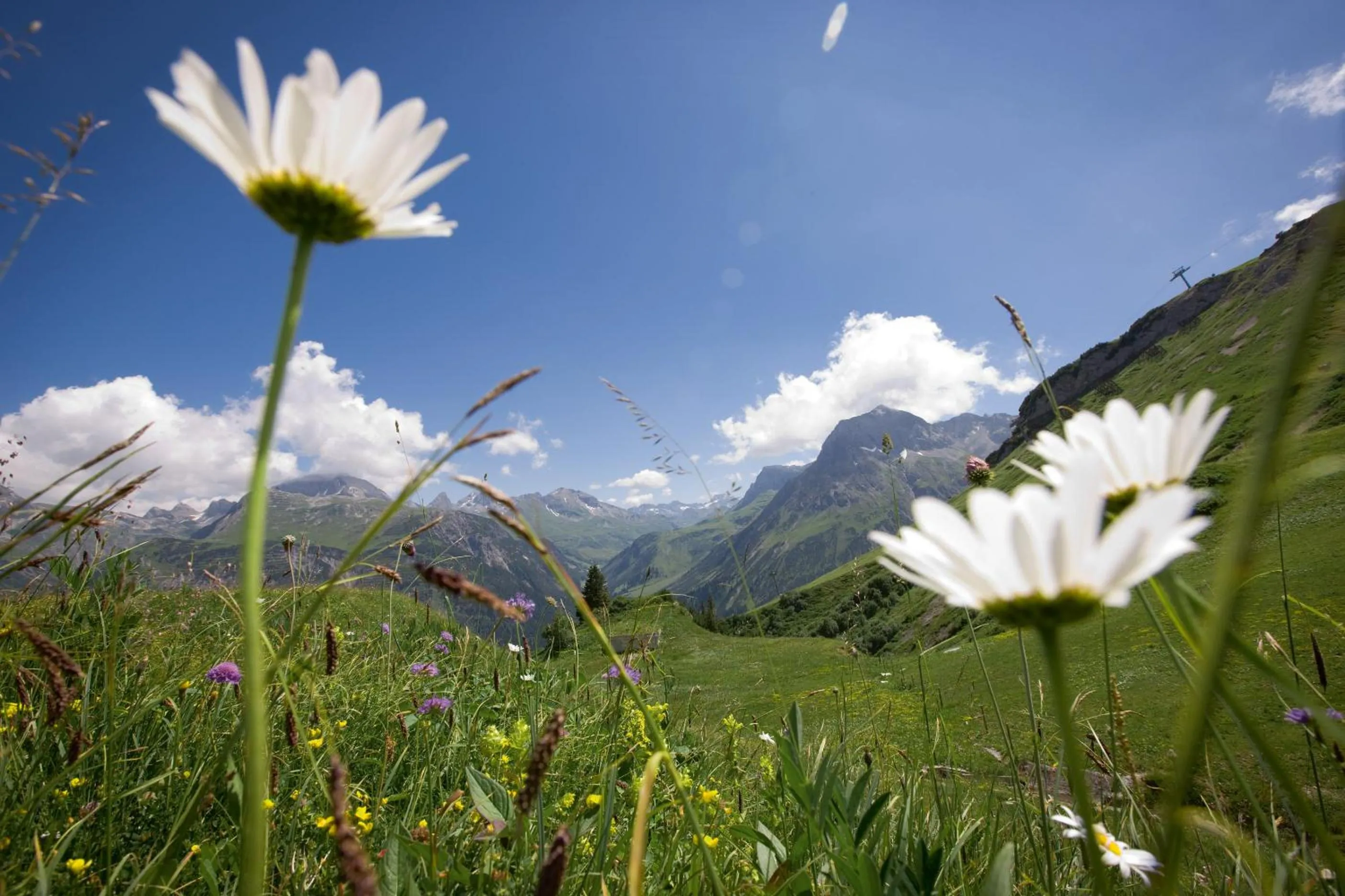 Area and facilities in Burg Vital Resort