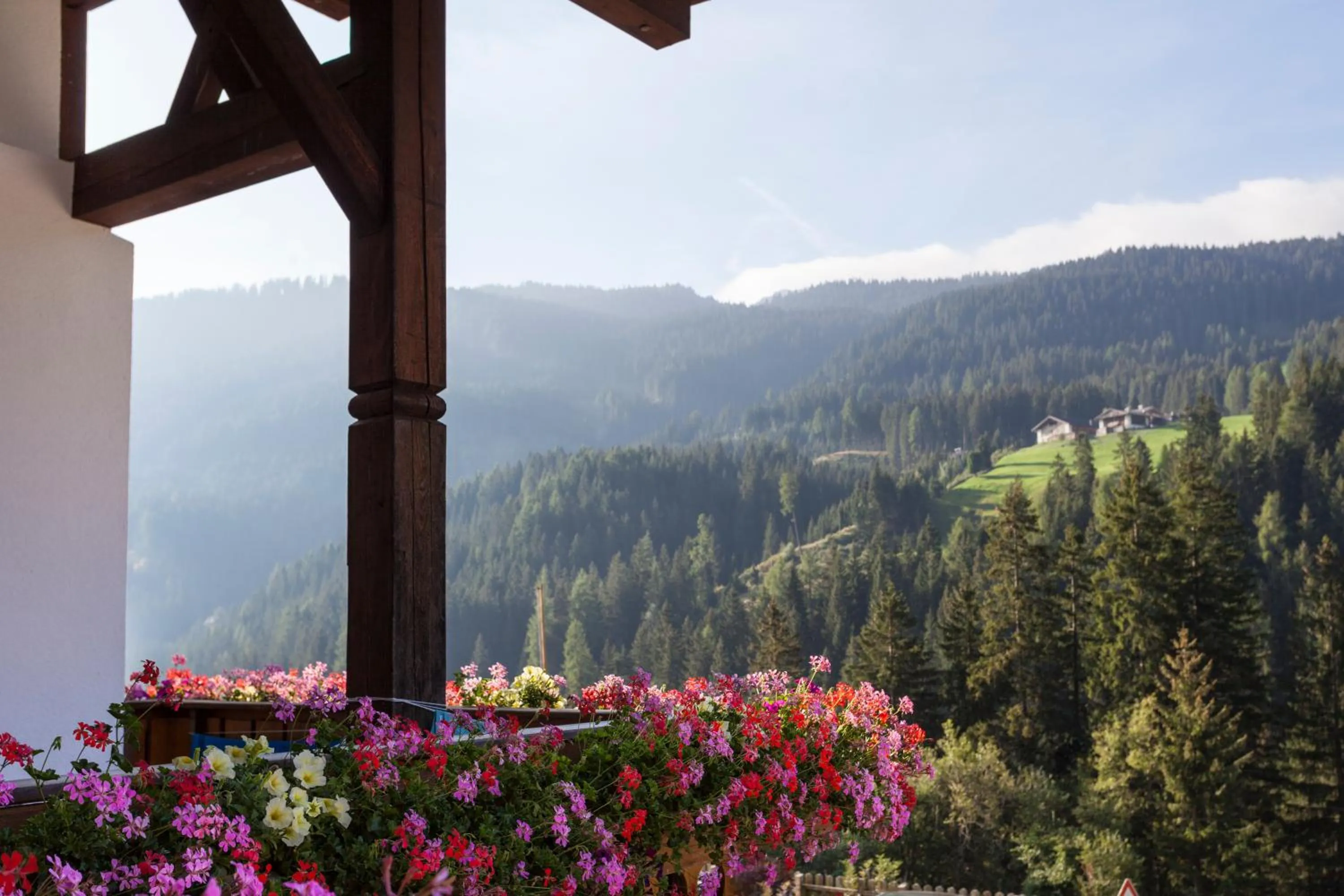 Day in Alpenspitz Appartements - Garni - B&B