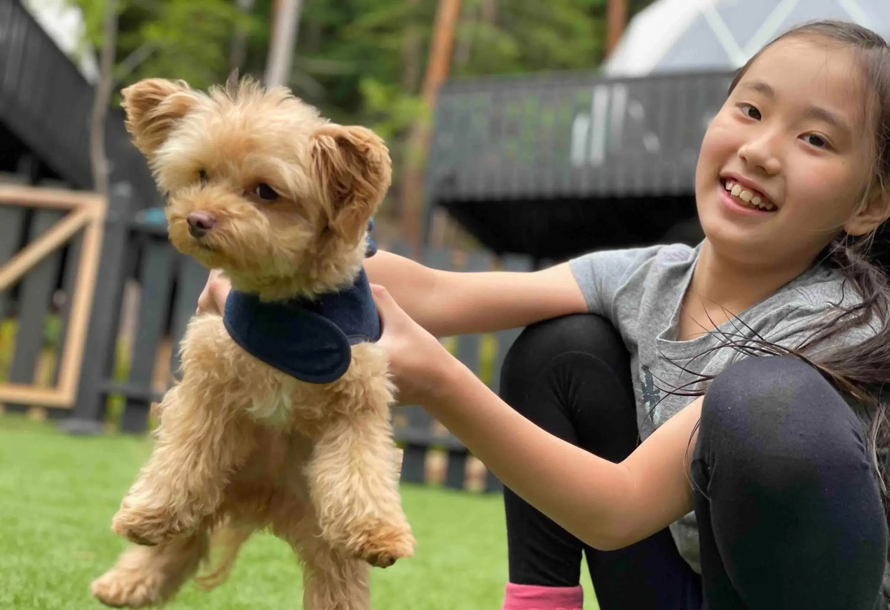 Pets in TOCORO. Mt.Fuji CAMP&GLAMPING Pets in TOCORO. Mt.Fuji CAMP&GLAMPING