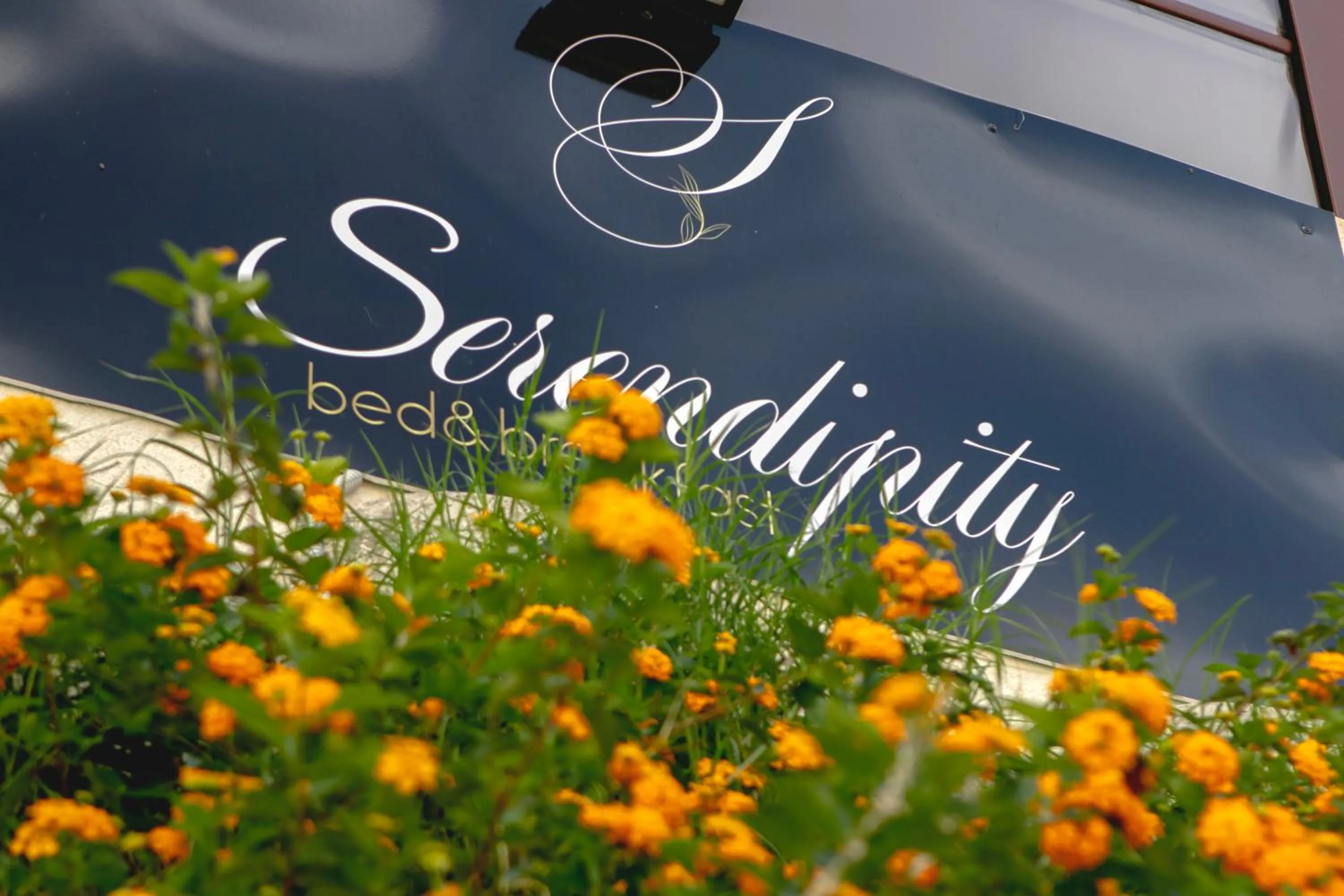 Logo/Certificate/Sign in Serendipity B&B