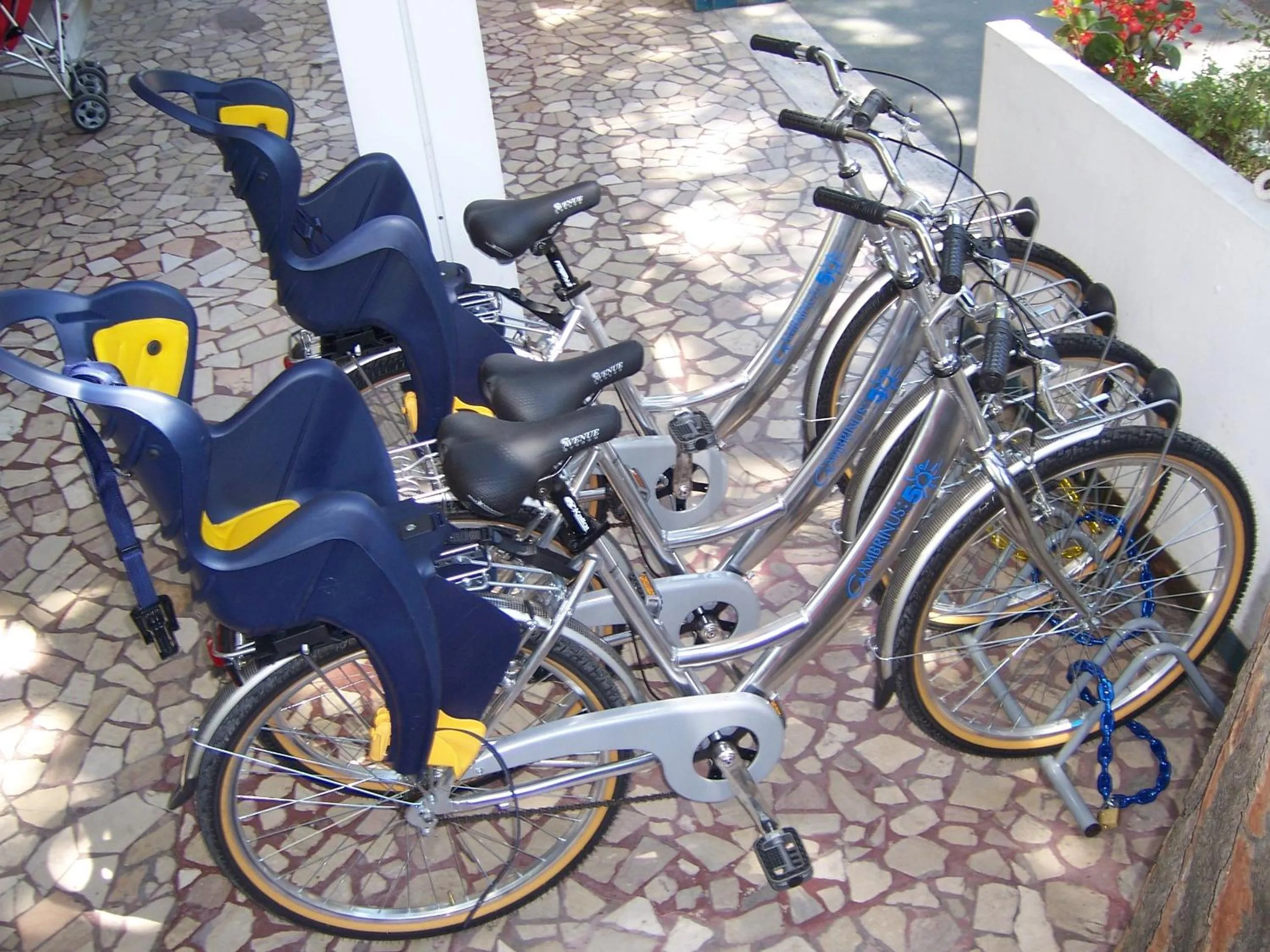 Activities in Hotel Gambrinus