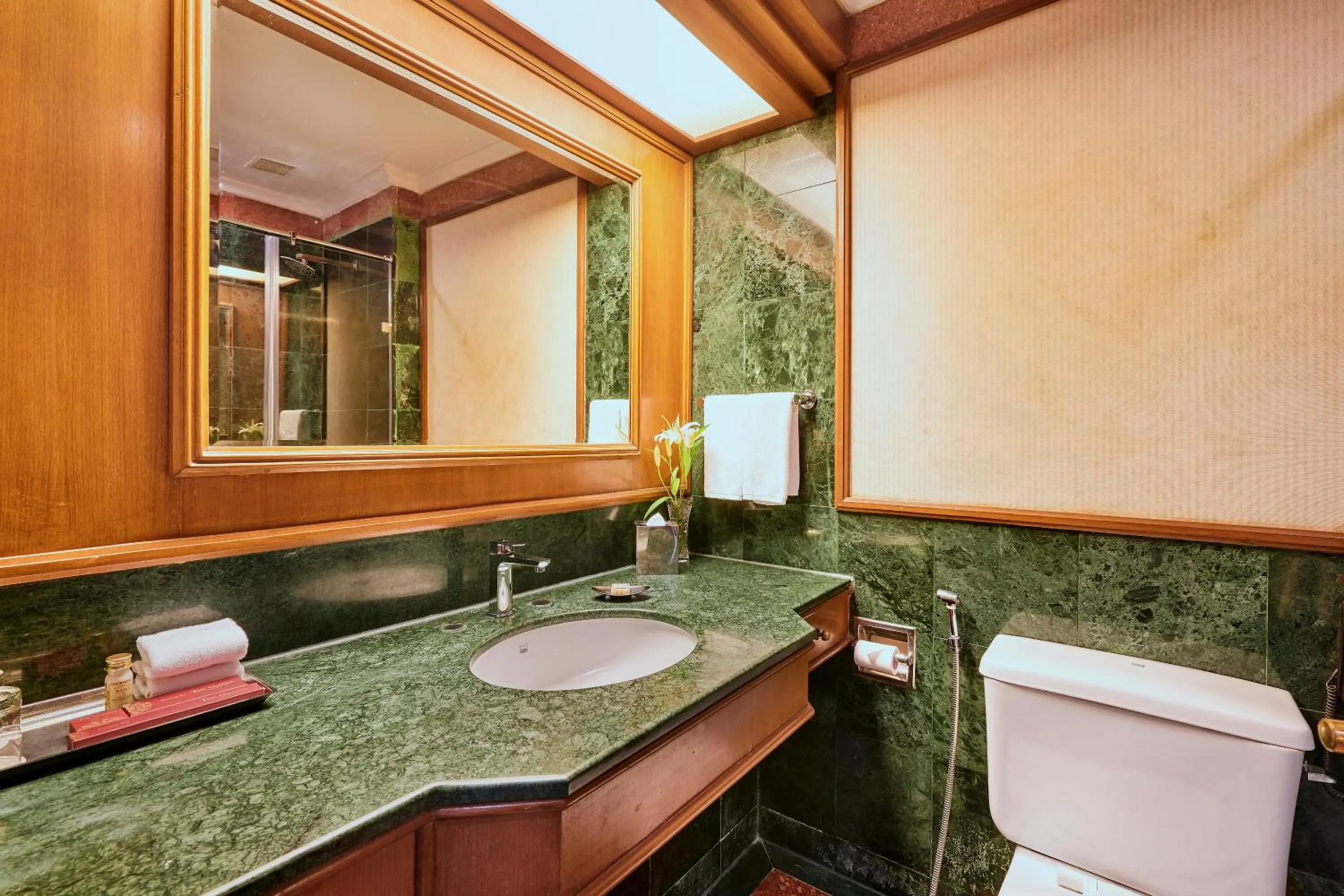 Toilet in The Ummed Ahmedabad Airport