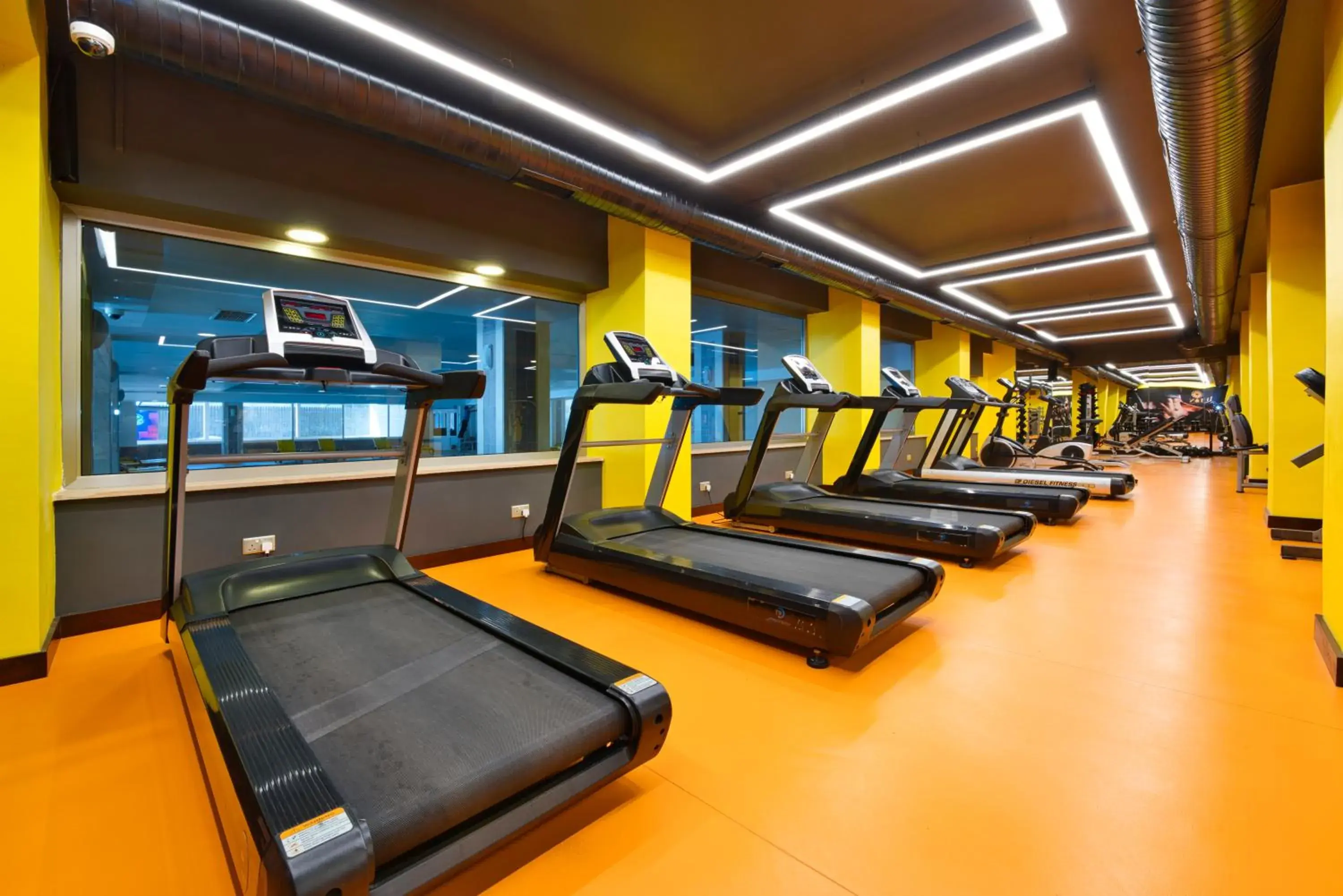 Fitness centre/facilities in Salamis Bay Conti Hotel Resort & SPA & Casino Fitness centre/facilities in Salamis Bay Conti Hotel Resort & SPA & Casino