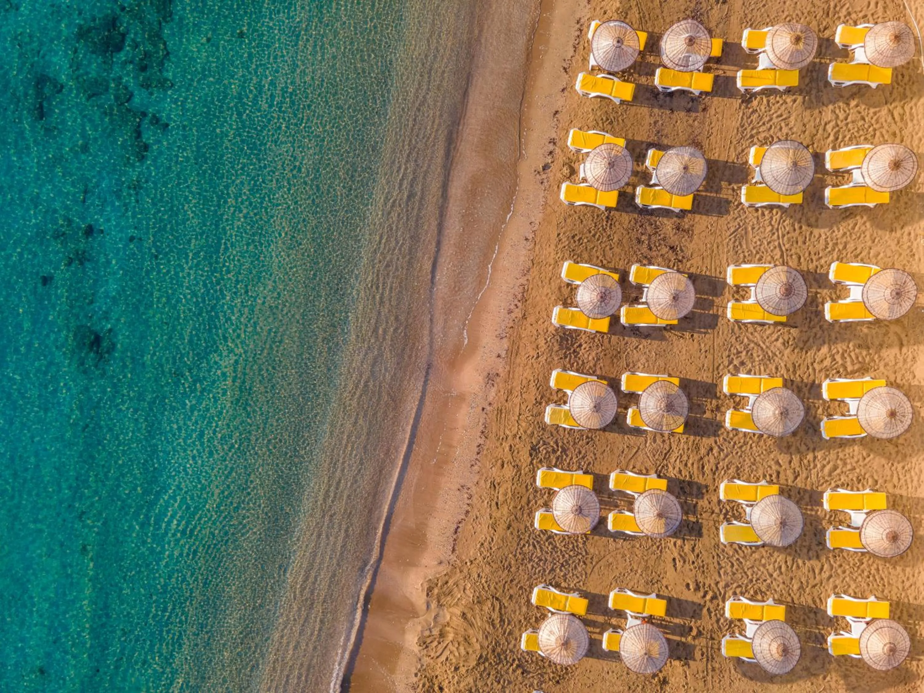 Beach in Salamis Bay Conti Hotel Resort & SPA & Casino