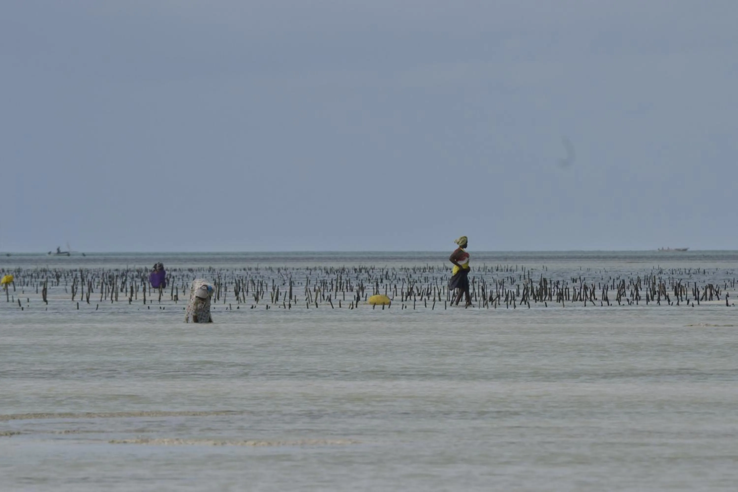 Mem Luxury Apartments and Hotel