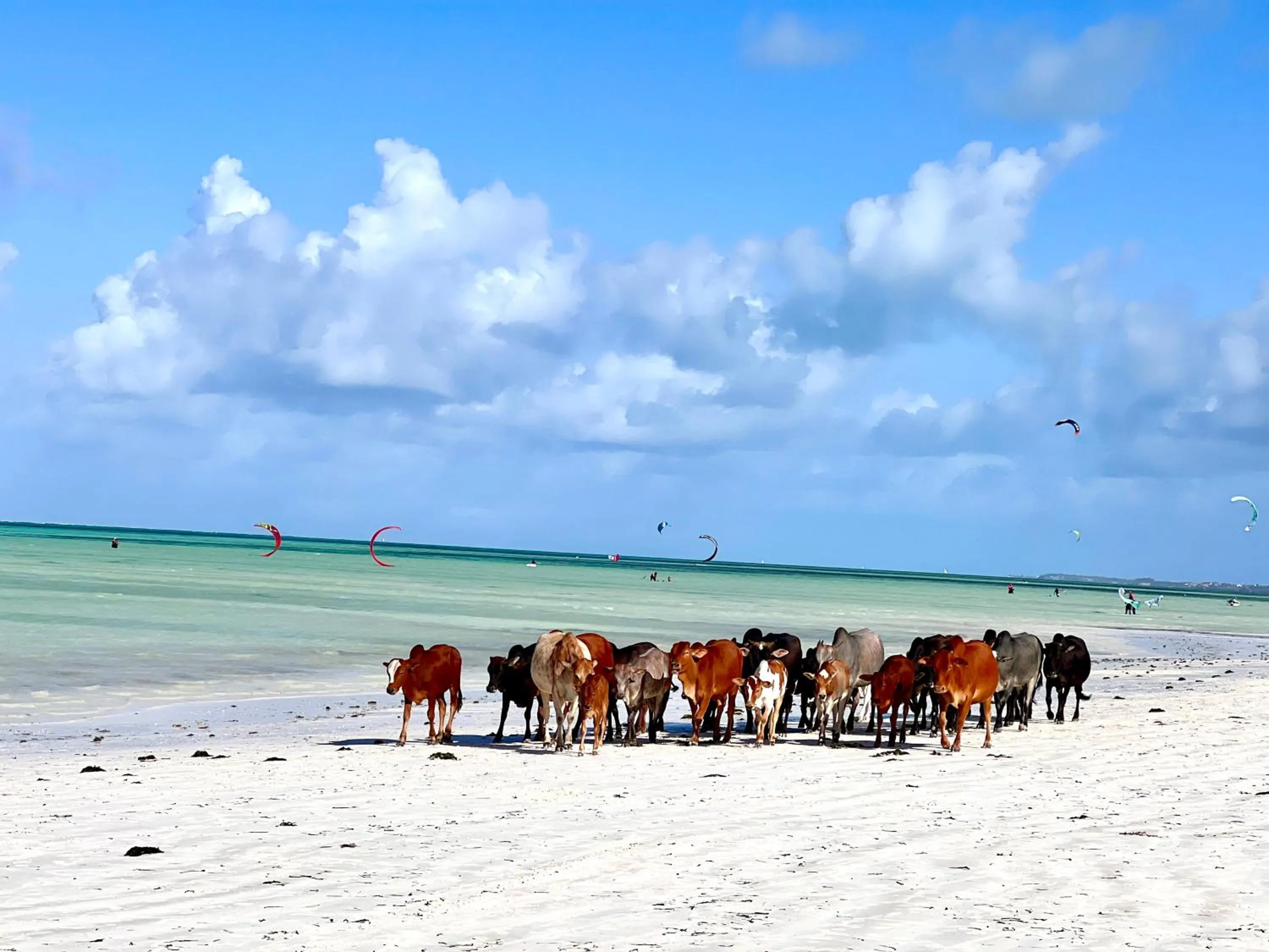 Mem Luxury Apartments and Hotel