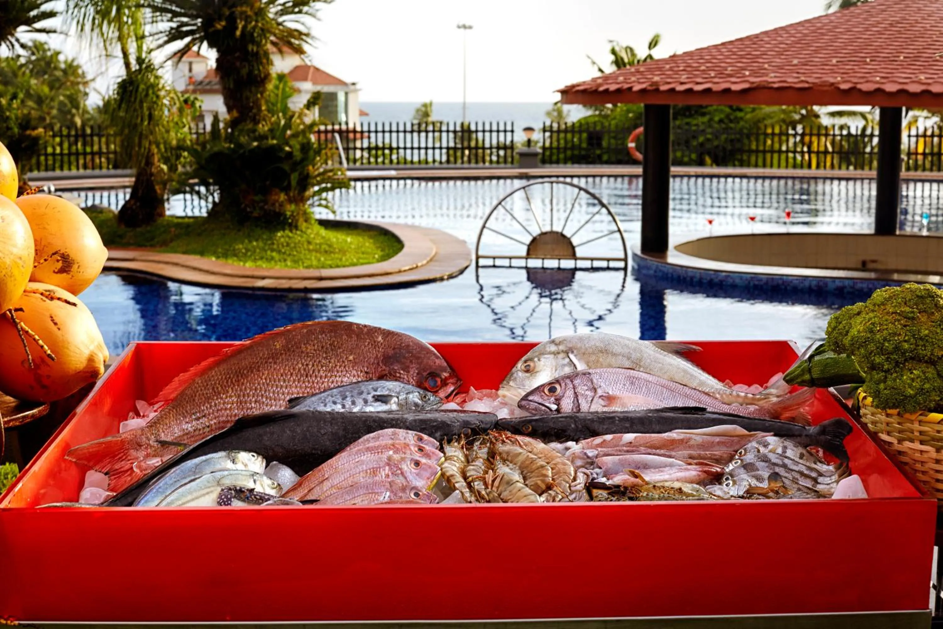 Swimming pool in Gateway Varkala