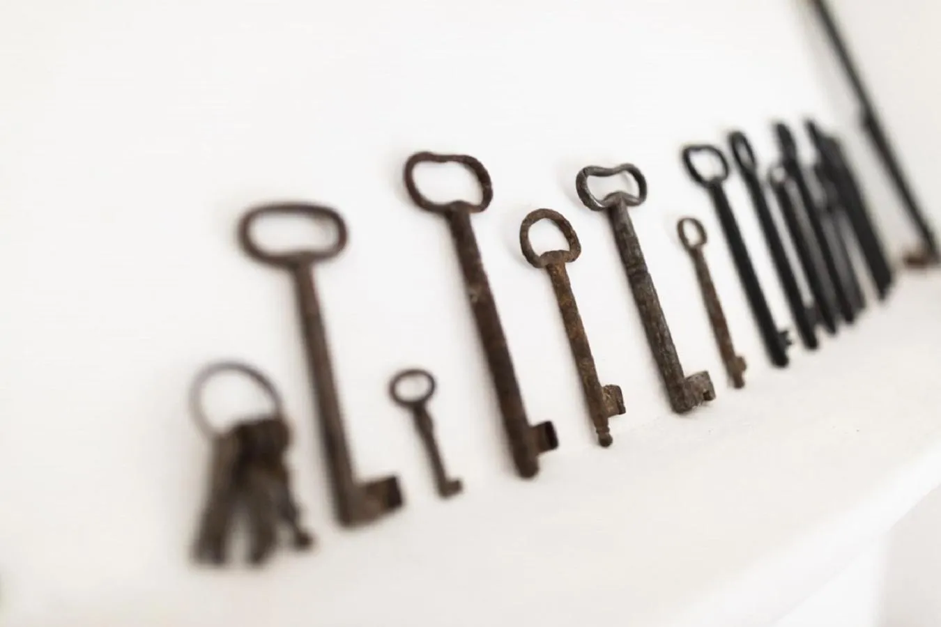 Logo/Certificate/Sign in Il Ciavattone Bed and Bike