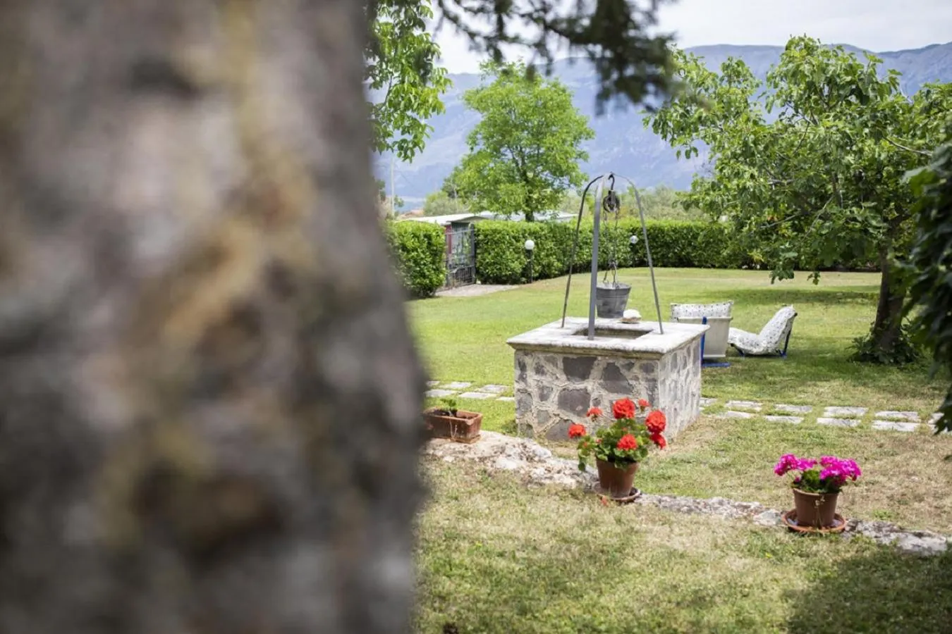 Garden in Il Ciavattone Bed and Bike