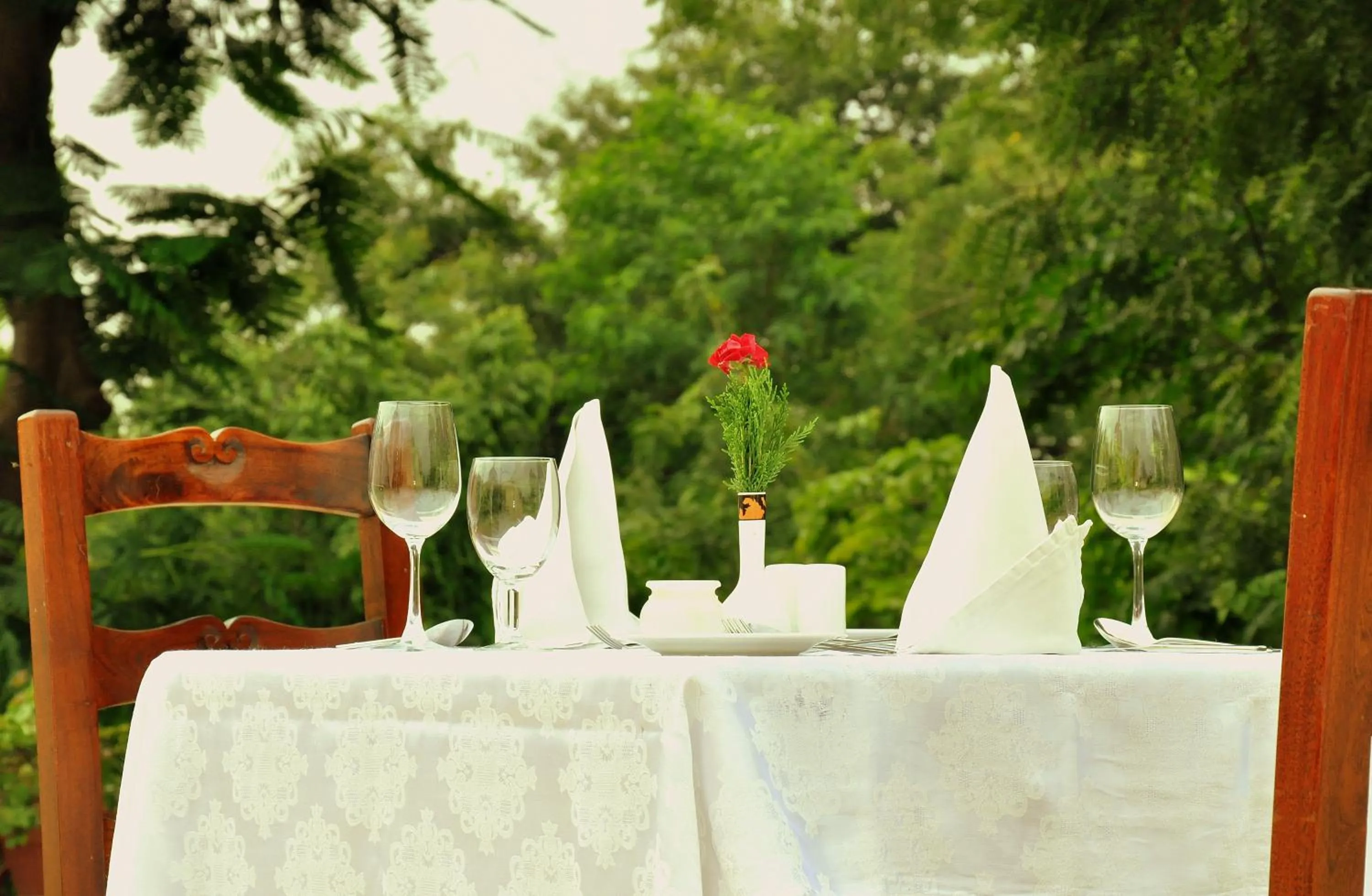 Food and drinks in Sawai Madhopur Lodge - IHCL SeleQtions