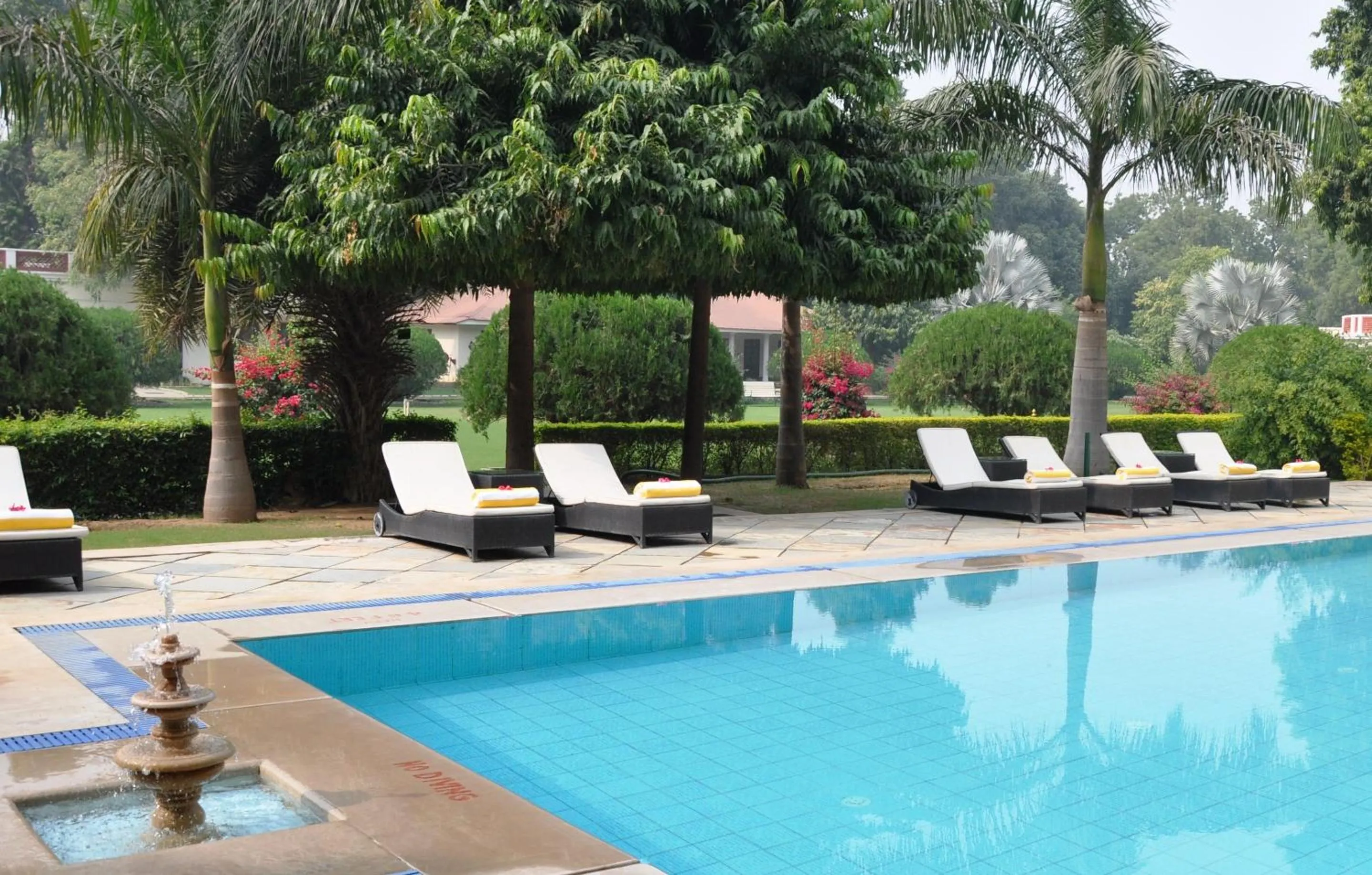 Swimming pool in Sawai Madhopur Lodge - IHCL SeleQtions