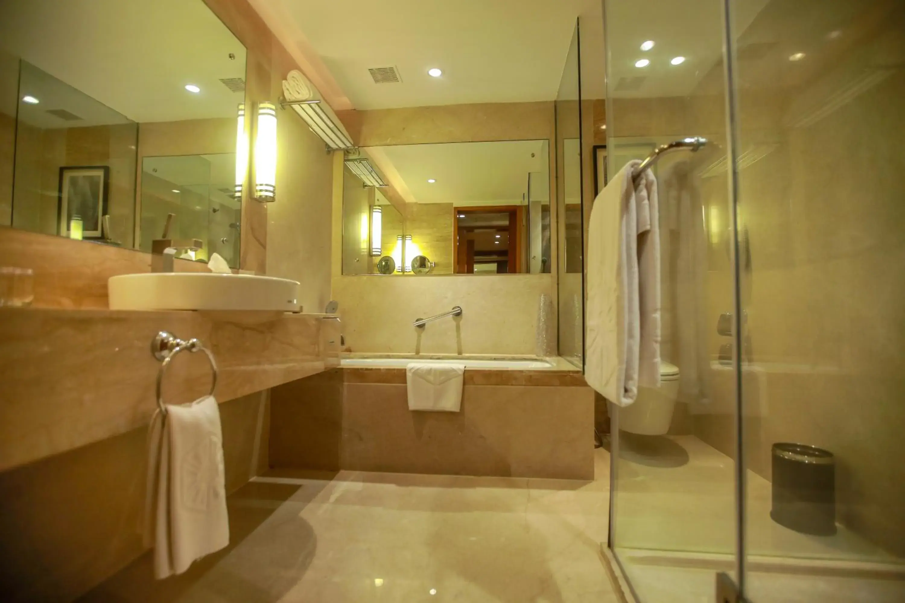 Bathroom in Taj Coromandel Bathroom in Taj Coromandel