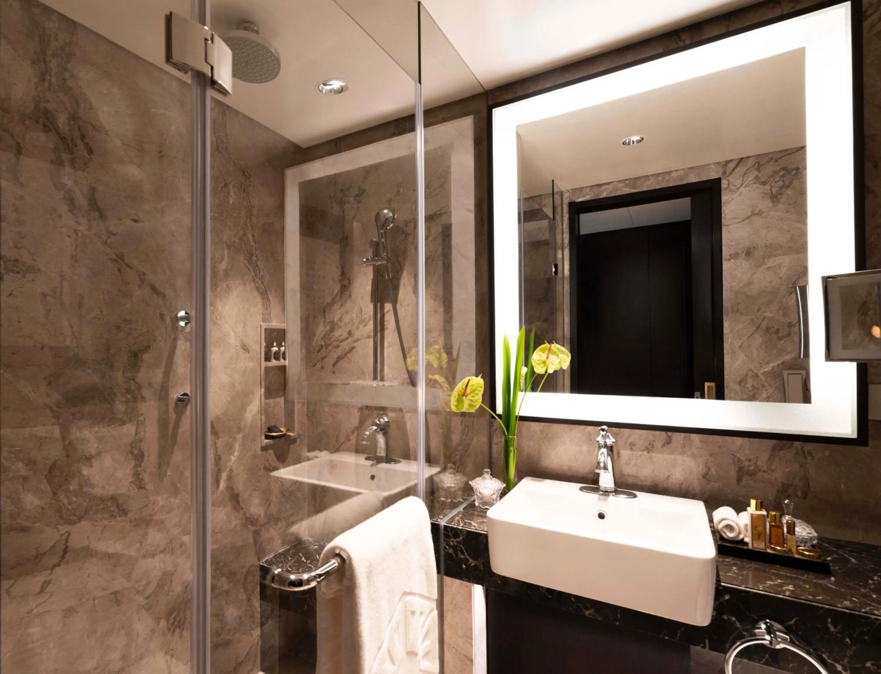 Shower in Taj Coromandel