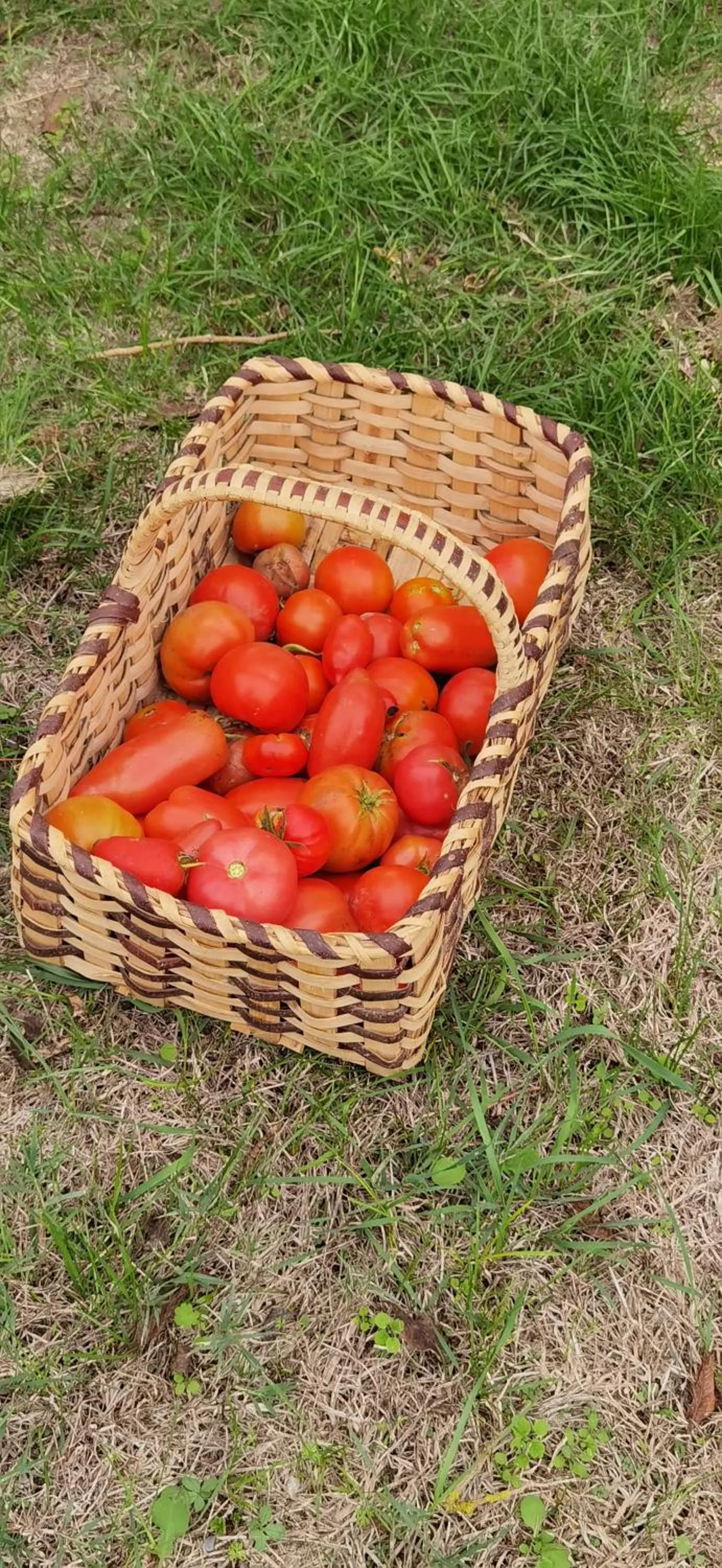 Garden in Les Hauts de Grazac, Chambres et Tables d'hôtes