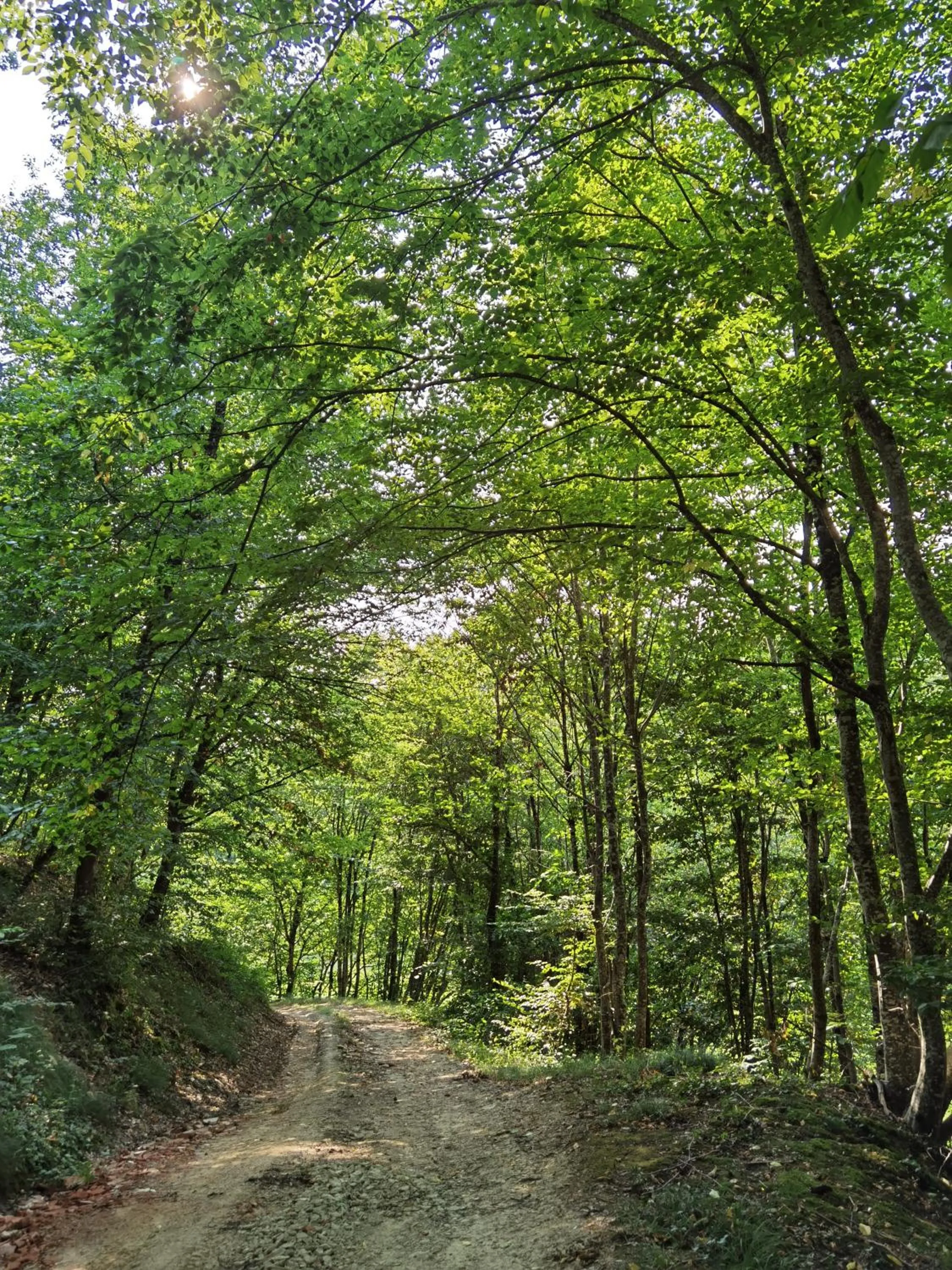 Natural landscape in Les Hauts de Grazac, Chambres et Tables d'hôtes