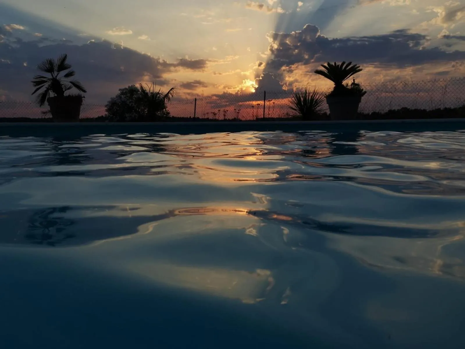 Swimming pool in Les Hauts de Grazac, Chambres et Tables d'hôtes