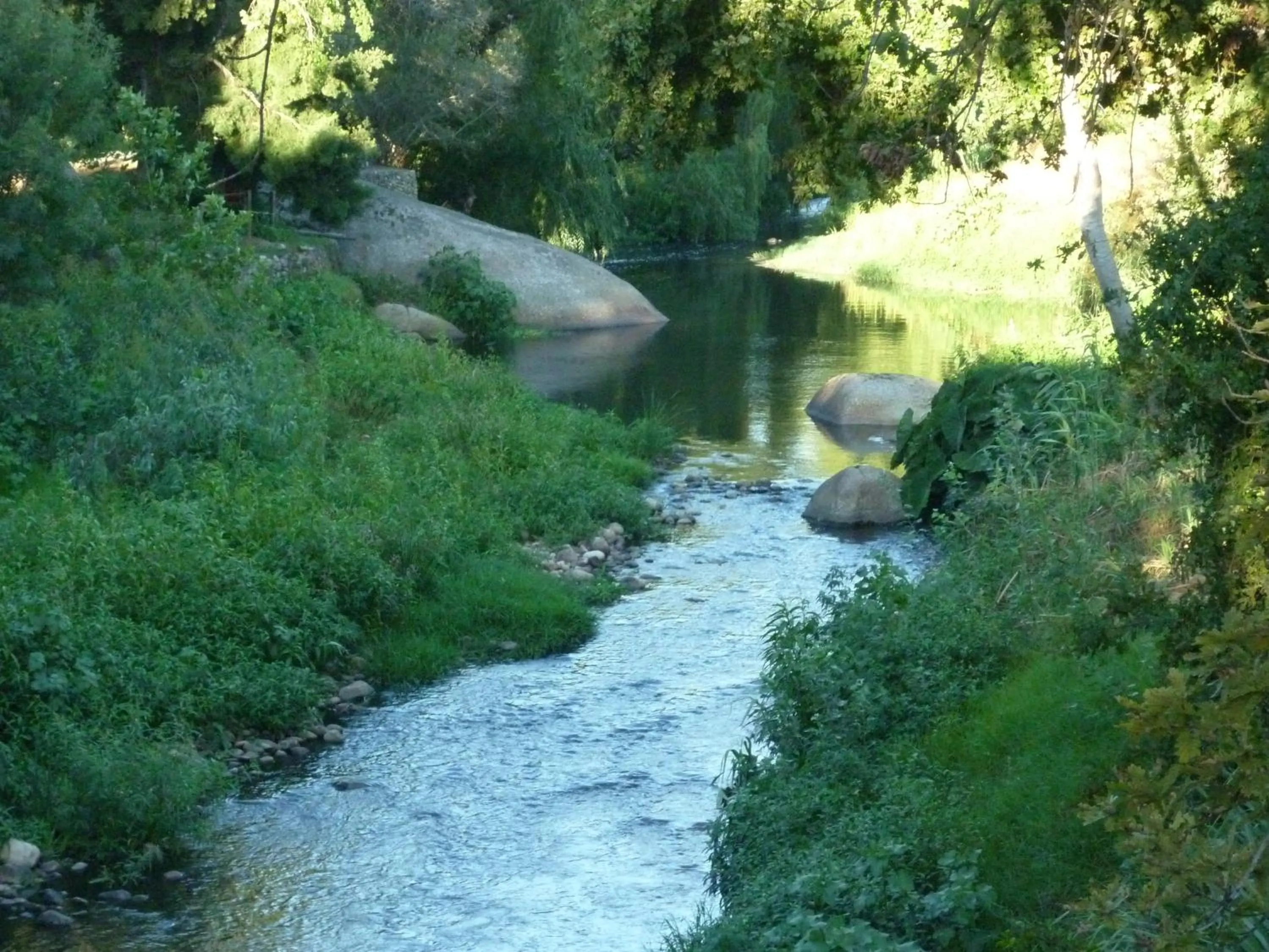 Natural landscape in zu Jeddelohs Lodge Hotel