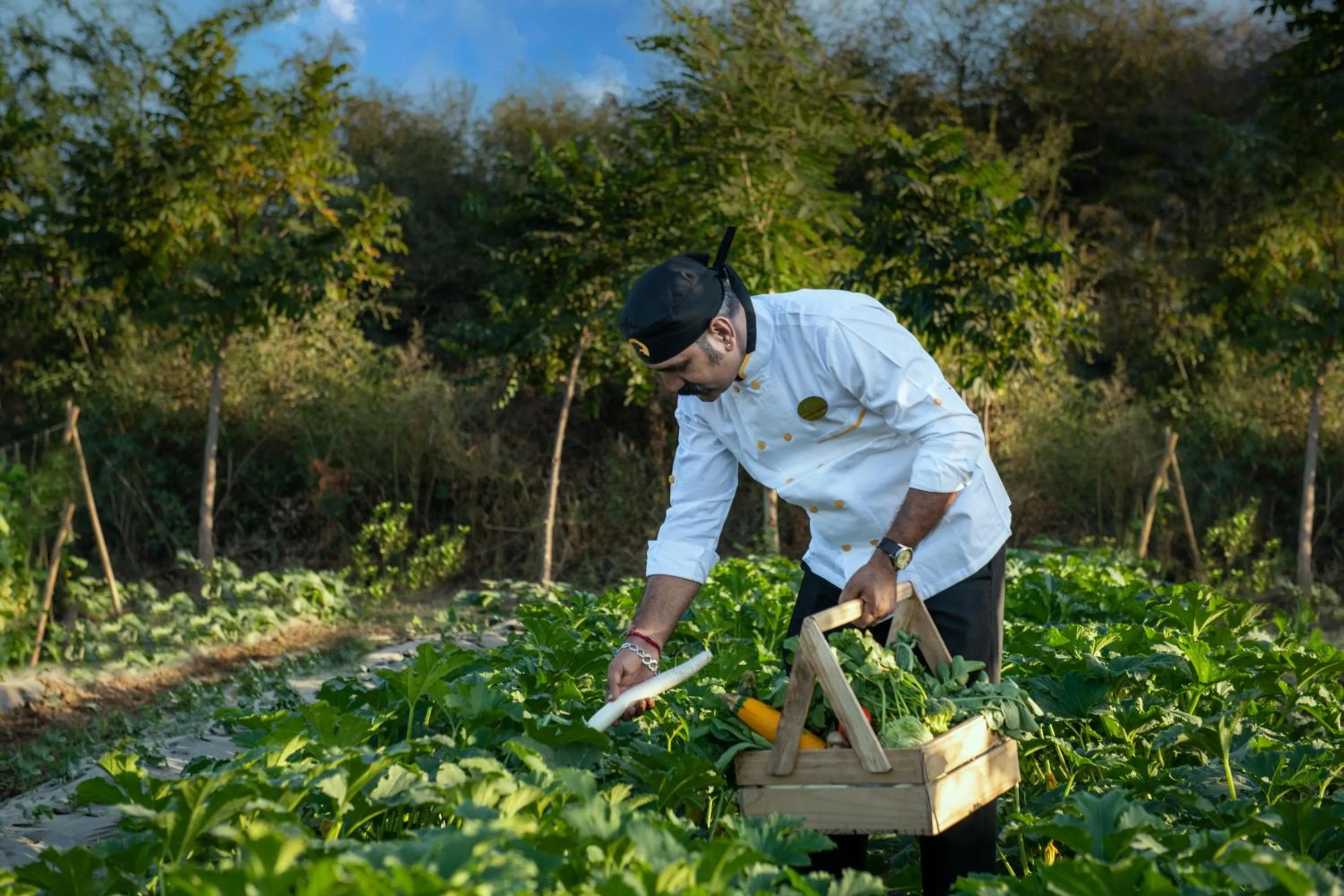 Garden in WelcomHeritage Cheetahgarh Resort & Spa