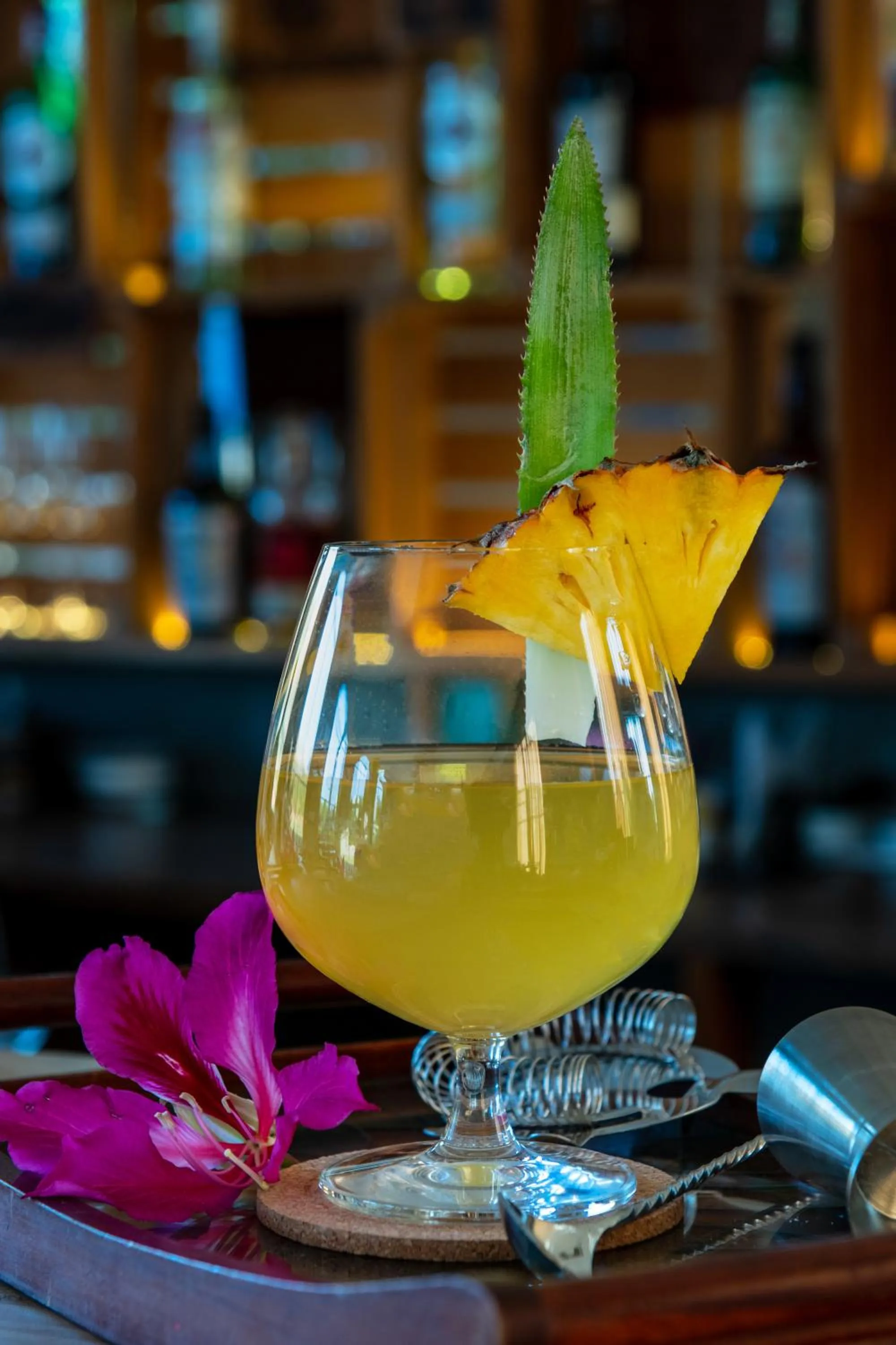 Lounge or bar in WelcomHeritage Cheetahgarh Resort & Spa