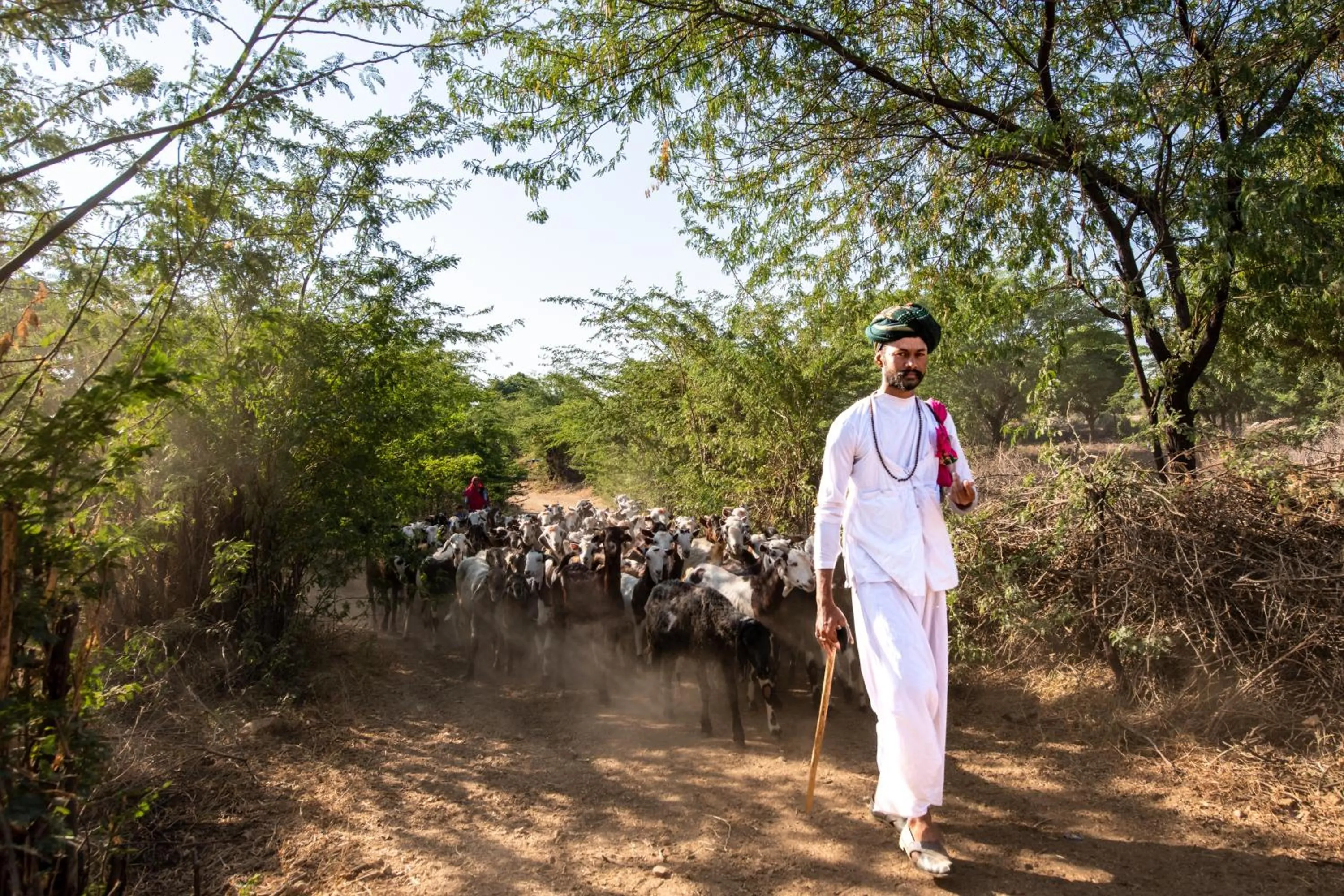 Spring in WelcomHeritage Cheetahgarh Resort & Spa