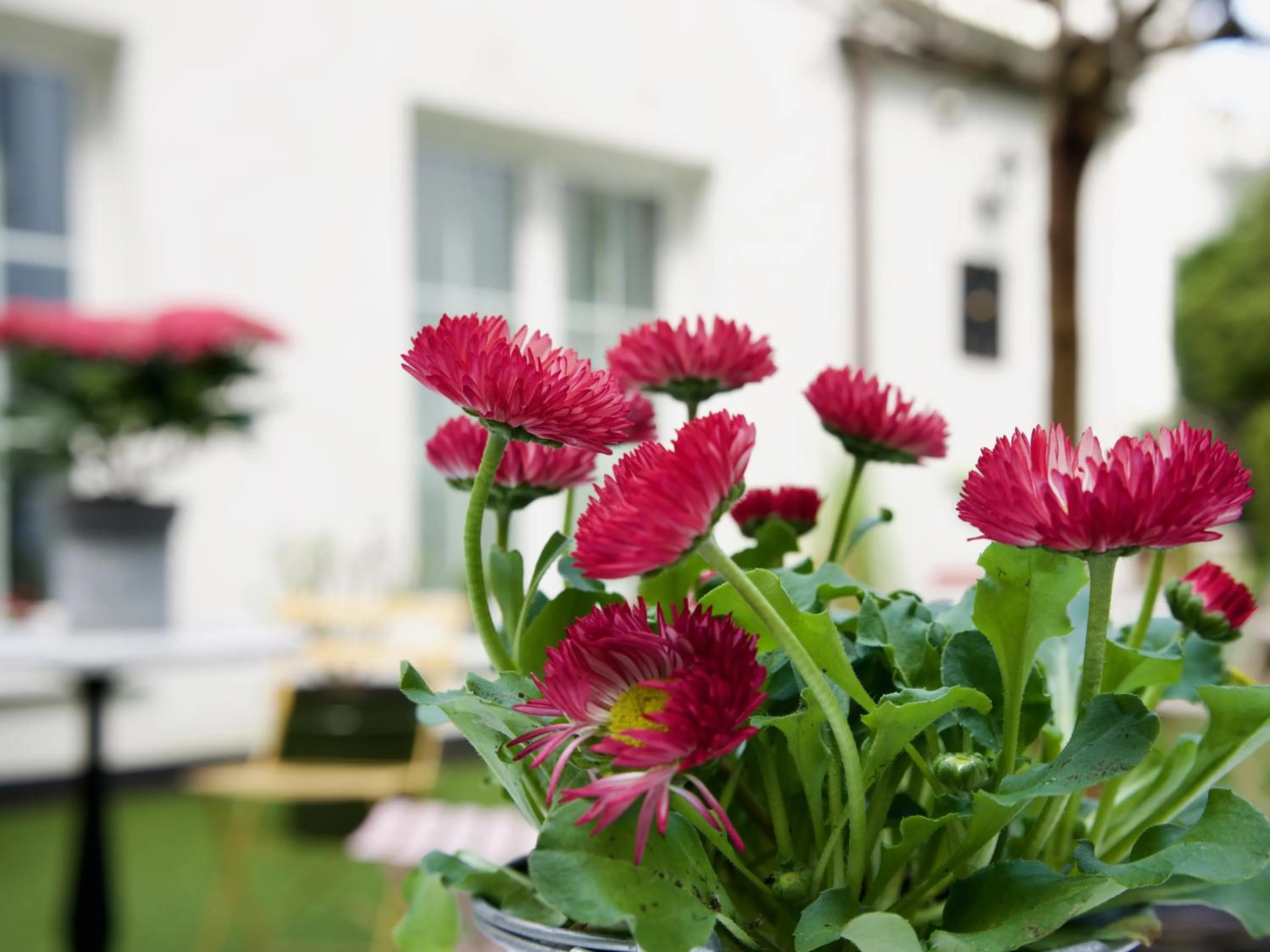 Property building in Apartments Les Jardins