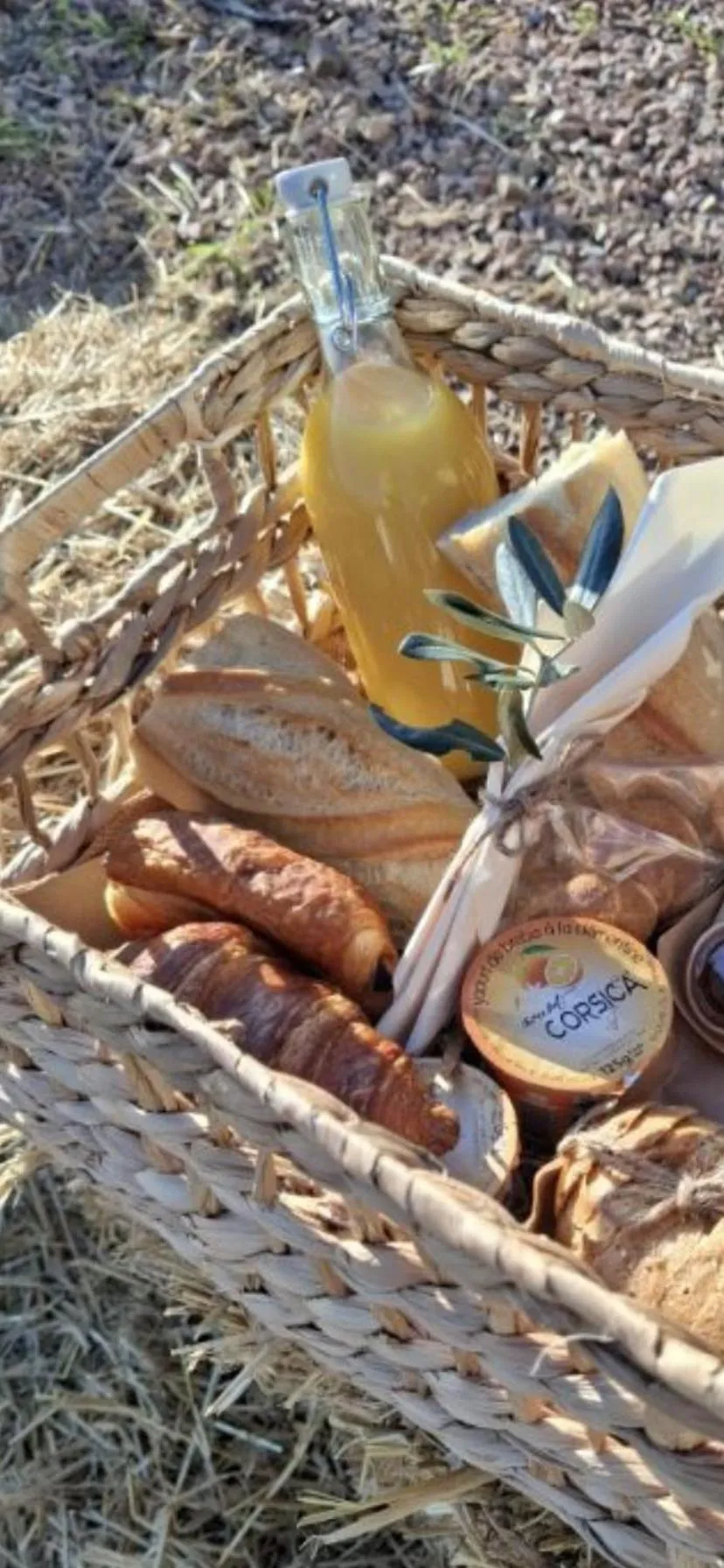 Domaine de Sonia - Logements éco-insolites