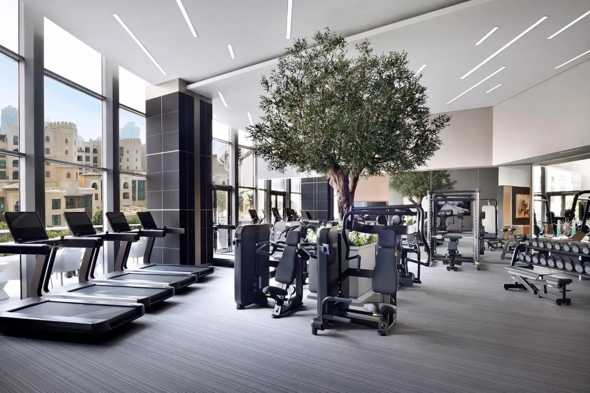 Fitness centre/facilities in Address Downtown Fitness centre/facilities in Address Downtown