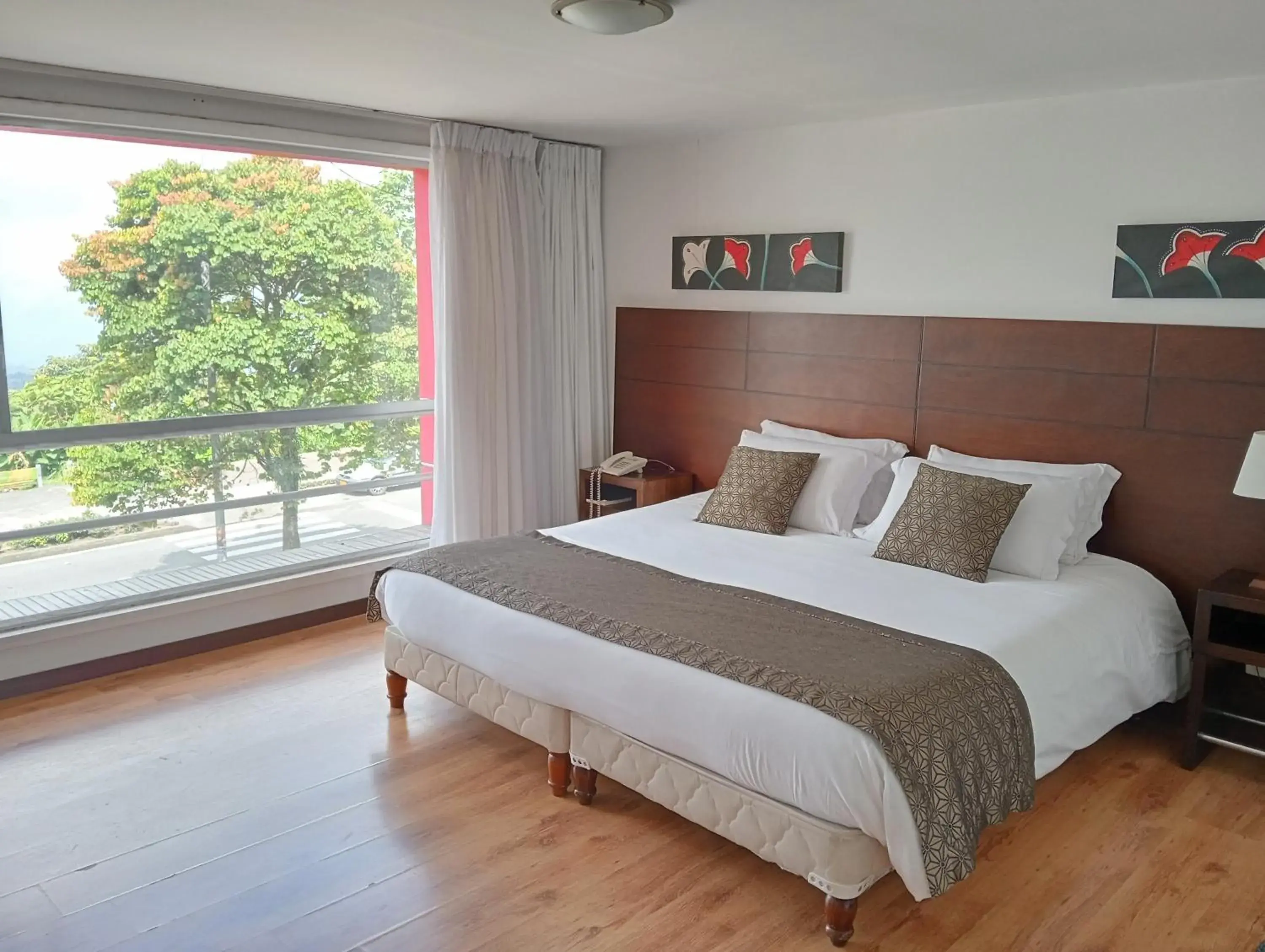 Single Room in Europa Hotel Boutique Manizales Single Room in Europa Hotel Boutique Manizales