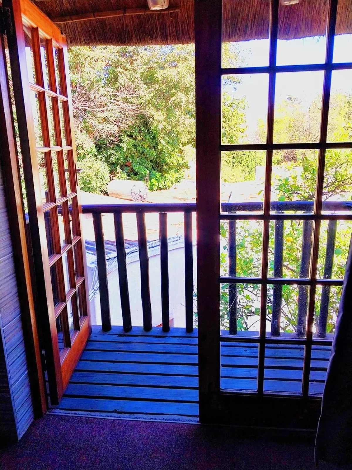 Balcony/Terrace in Libra Lodge & Spa - Randburg, Johannesburg