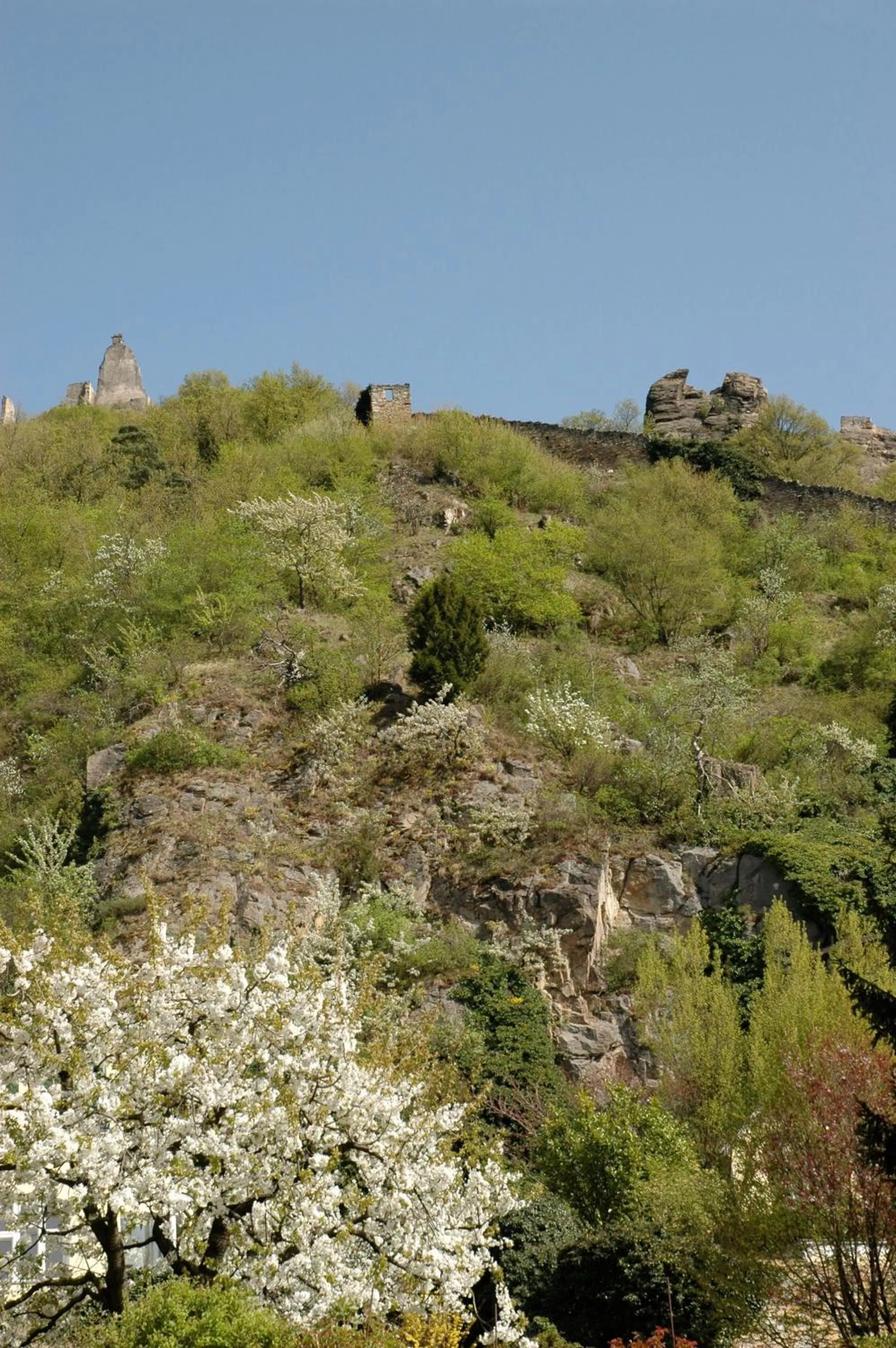 Hiking in ad vineas Gästehaus Nikolaihof-Hotel Garni