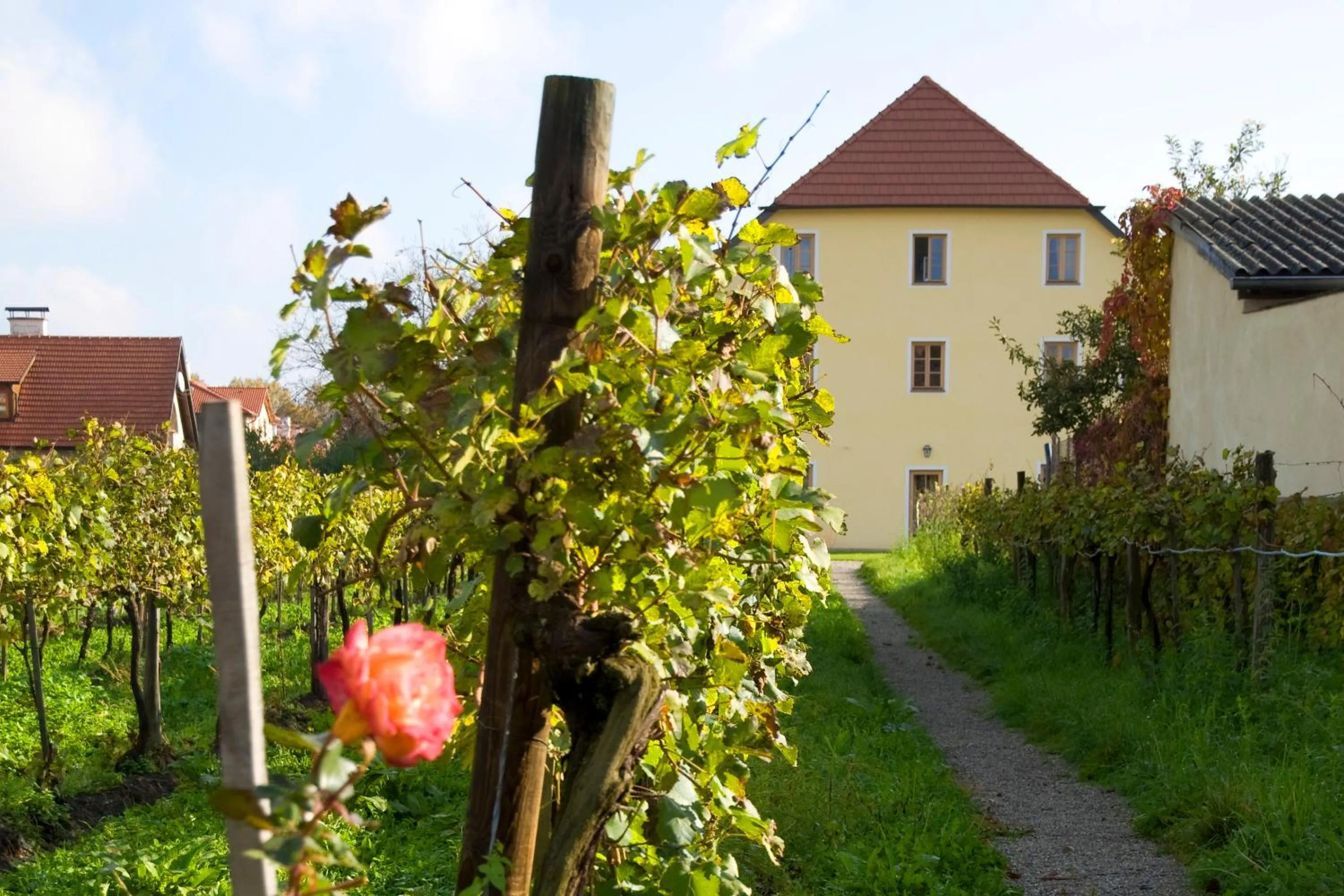 Property building in ad vineas Gästehaus Nikolaihof-Hotel Garni