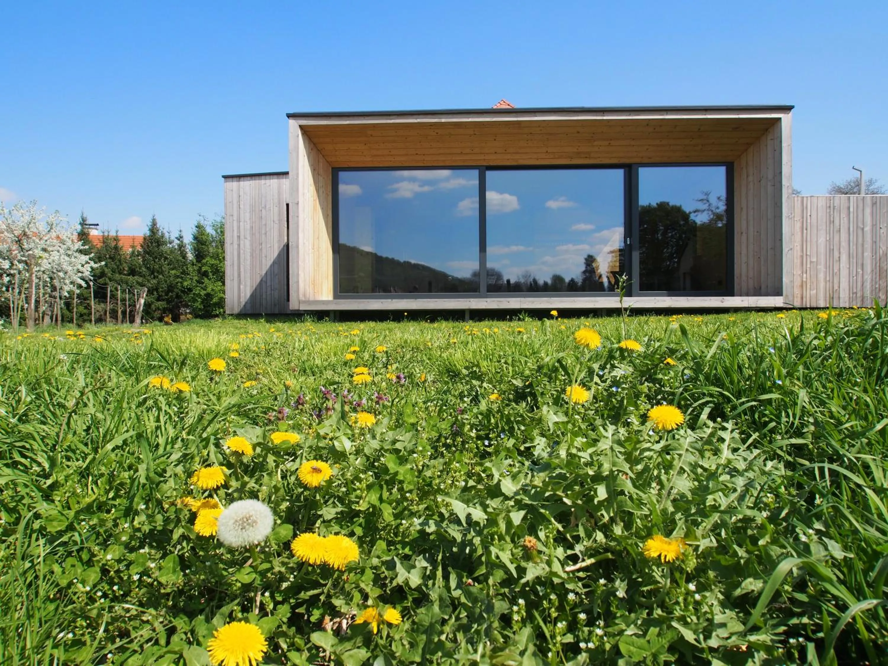 Spa and wellness centre/facilities in ad vineas Gästehaus Nikolaihof-Hotel Garni