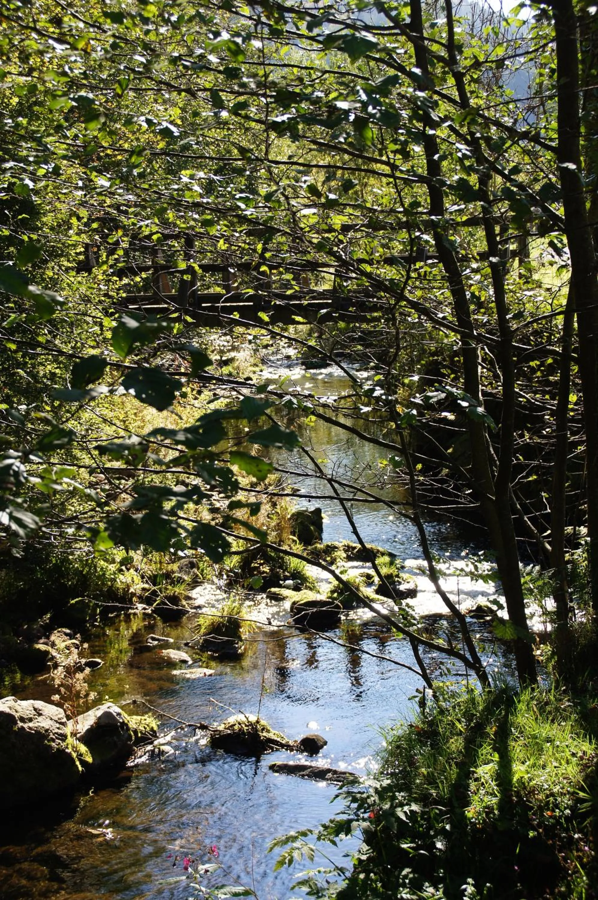 Natural landscape in Landhaus Eickler