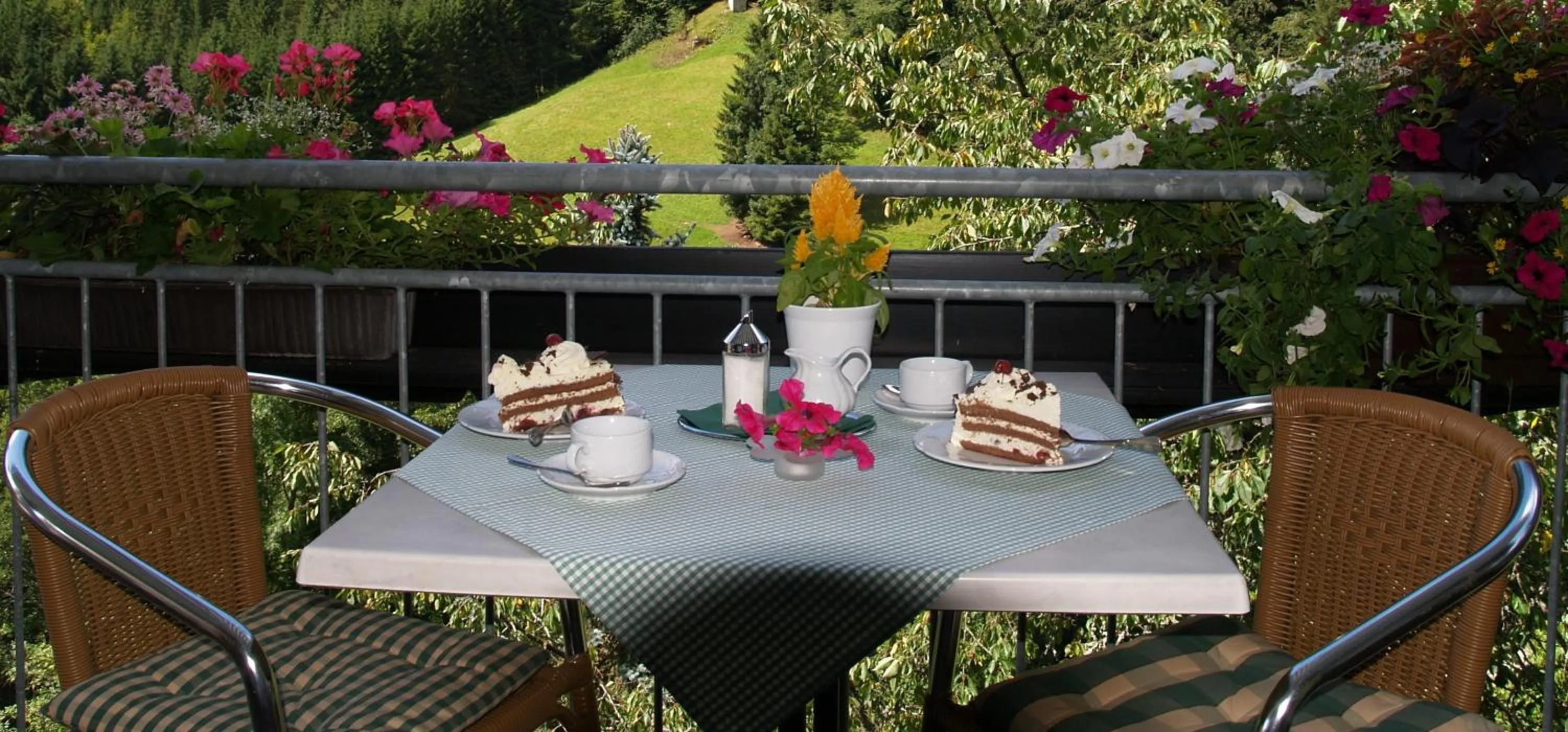 Balcony/Terrace in Landhaus Eickler