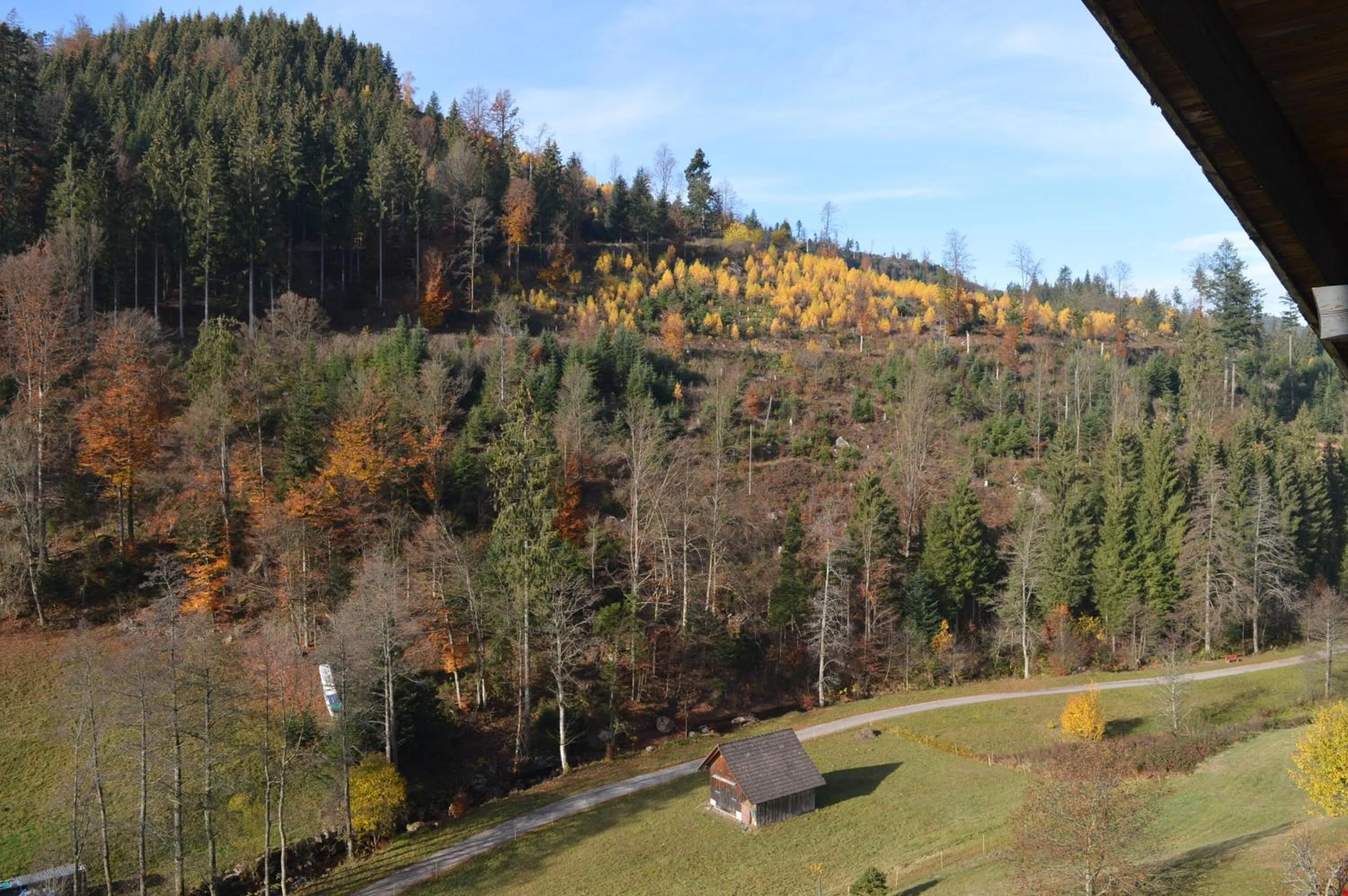 View (from property/room) in Landhaus Eickler