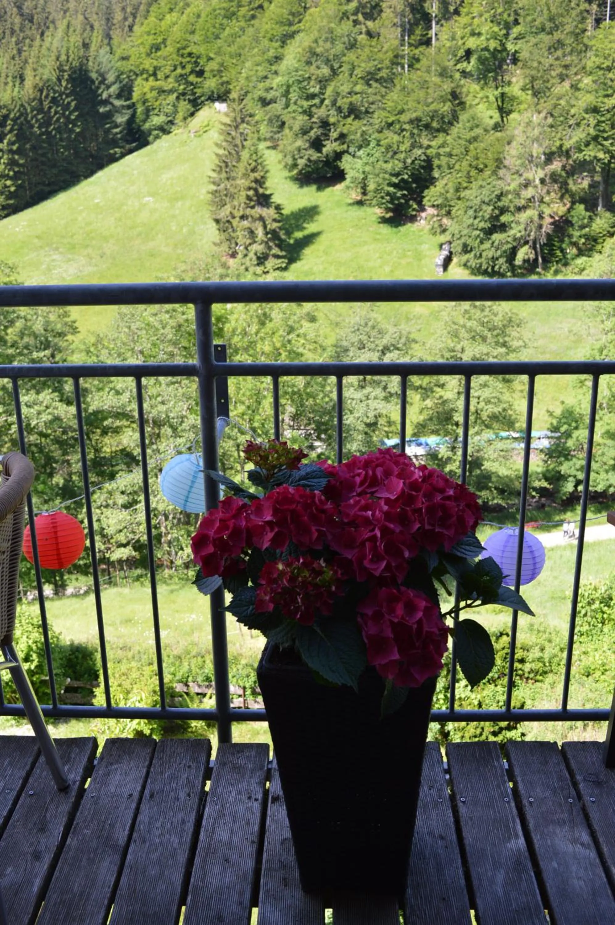 Balcony/Terrace in Landhaus Eickler