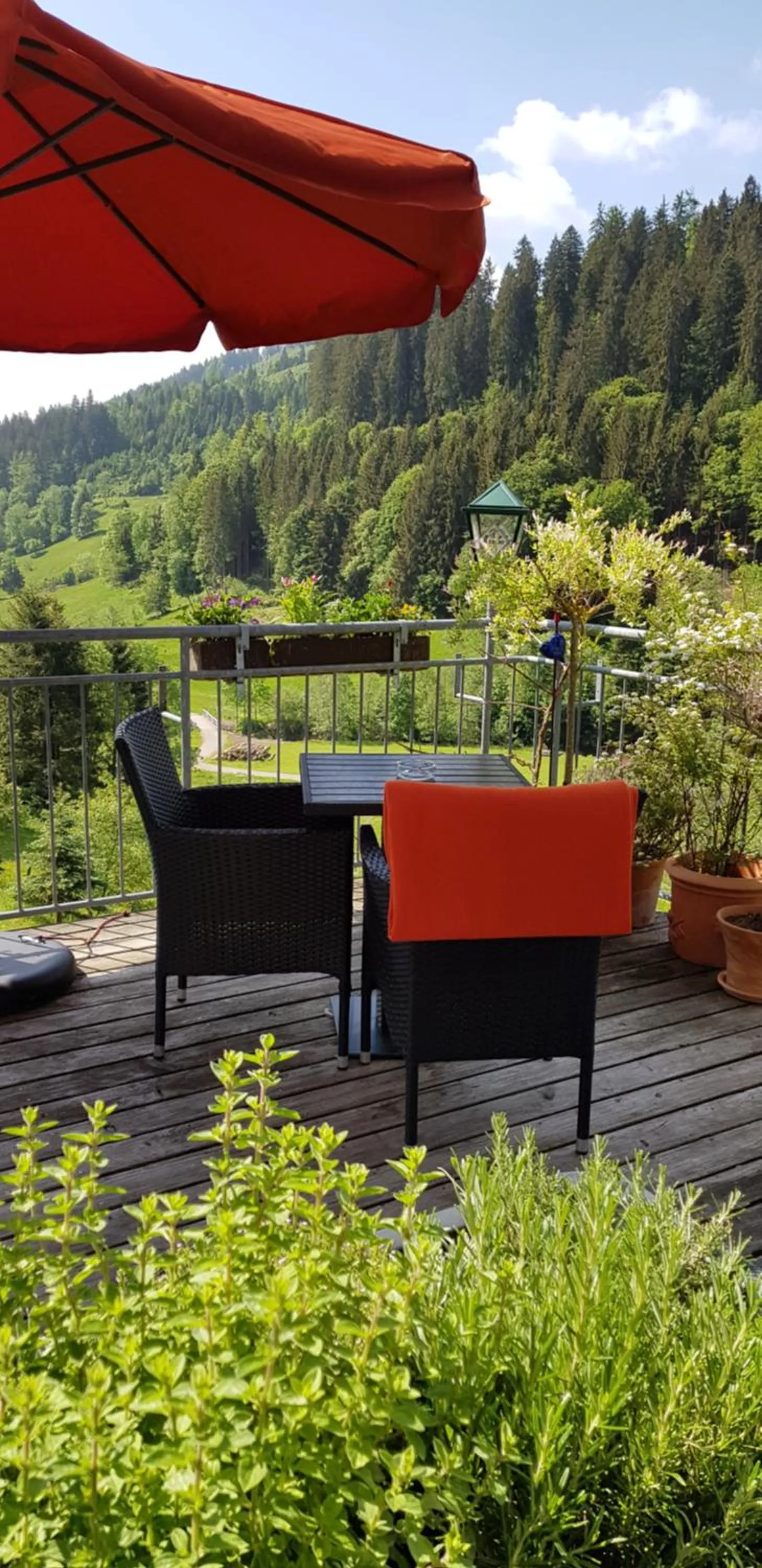 Balcony/Terrace in Landhaus Eickler
