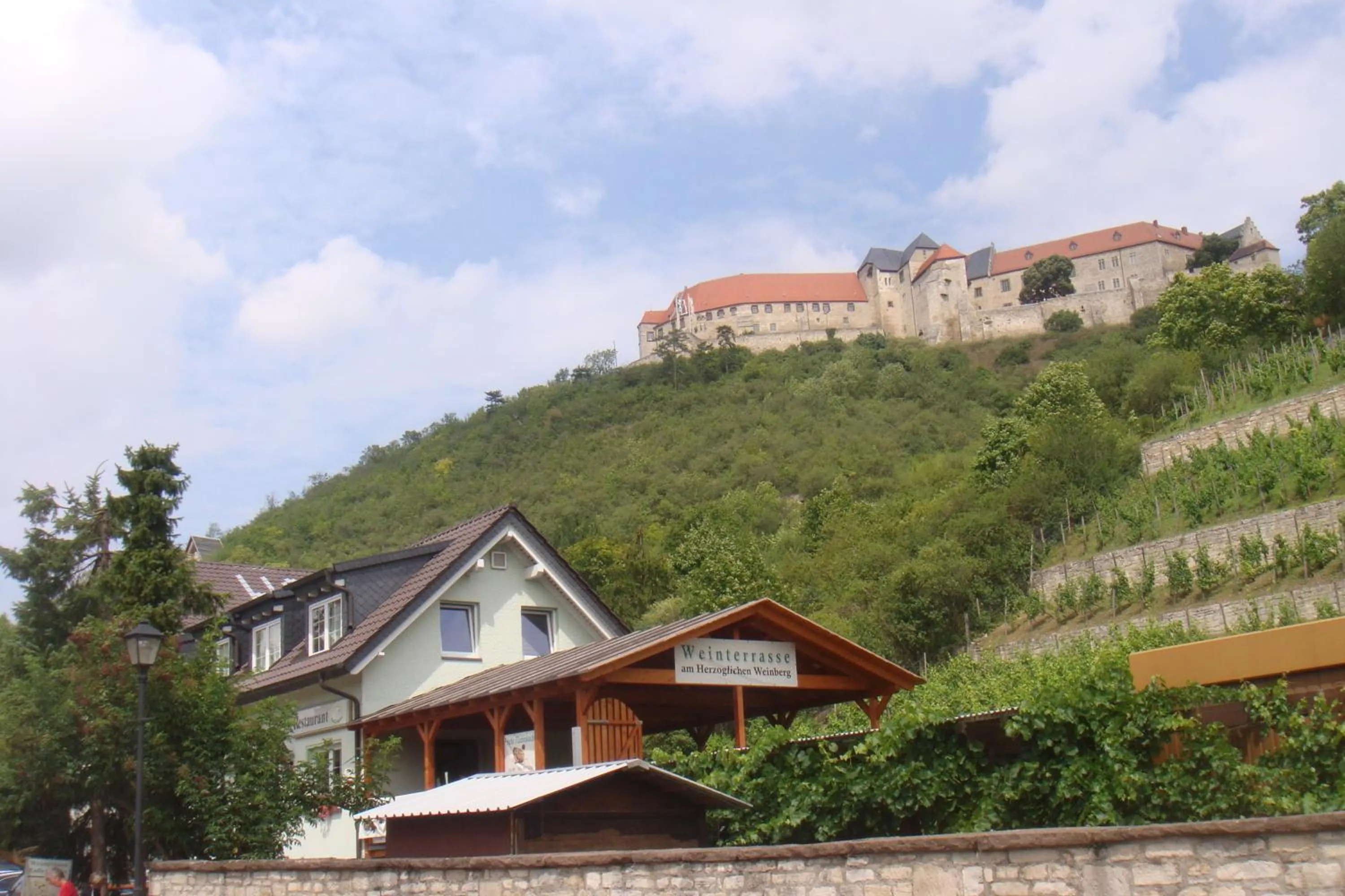 Mountain view in Landhotel Weingut Schulze