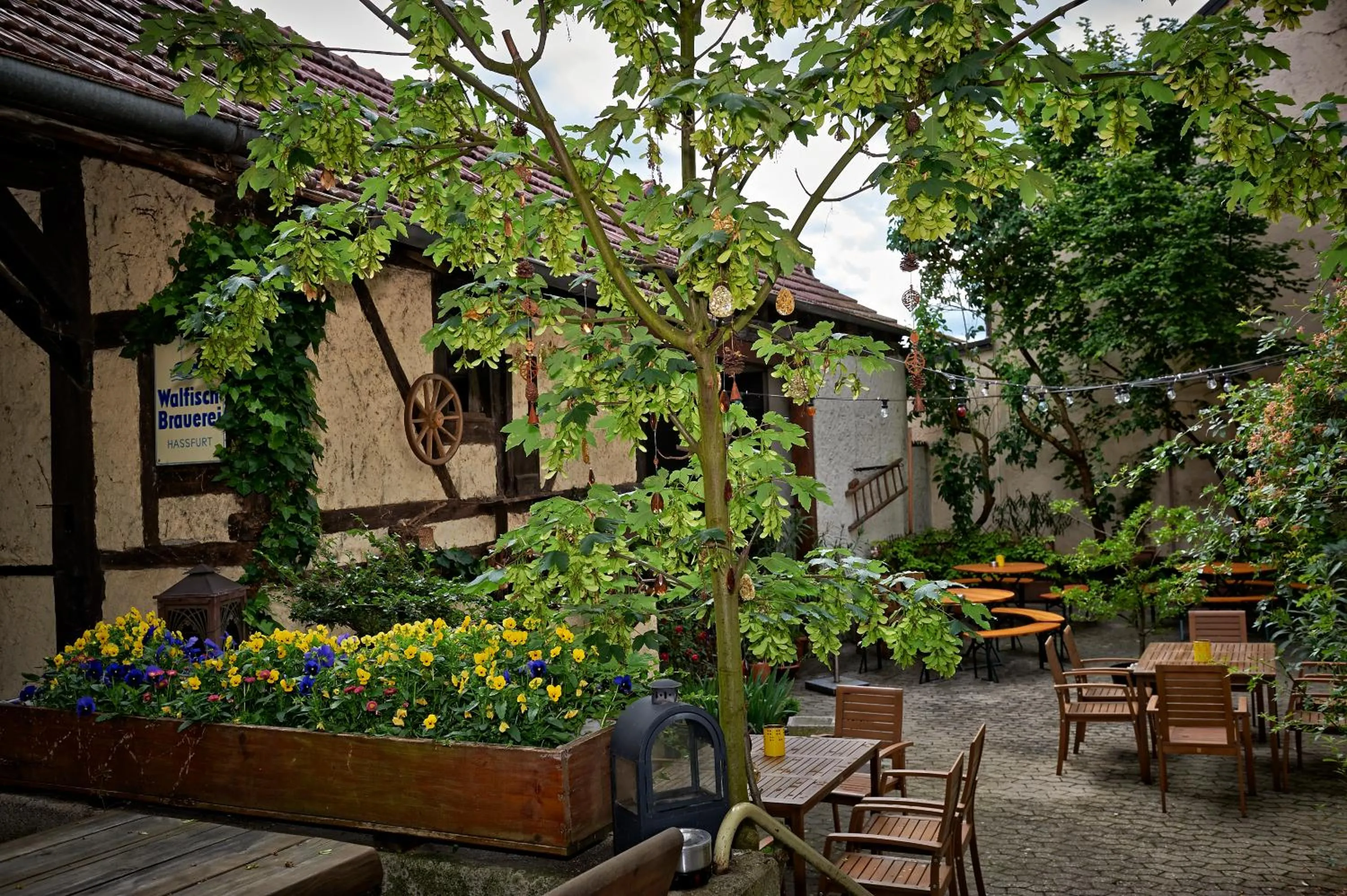 Garden in Hotel Walfisch