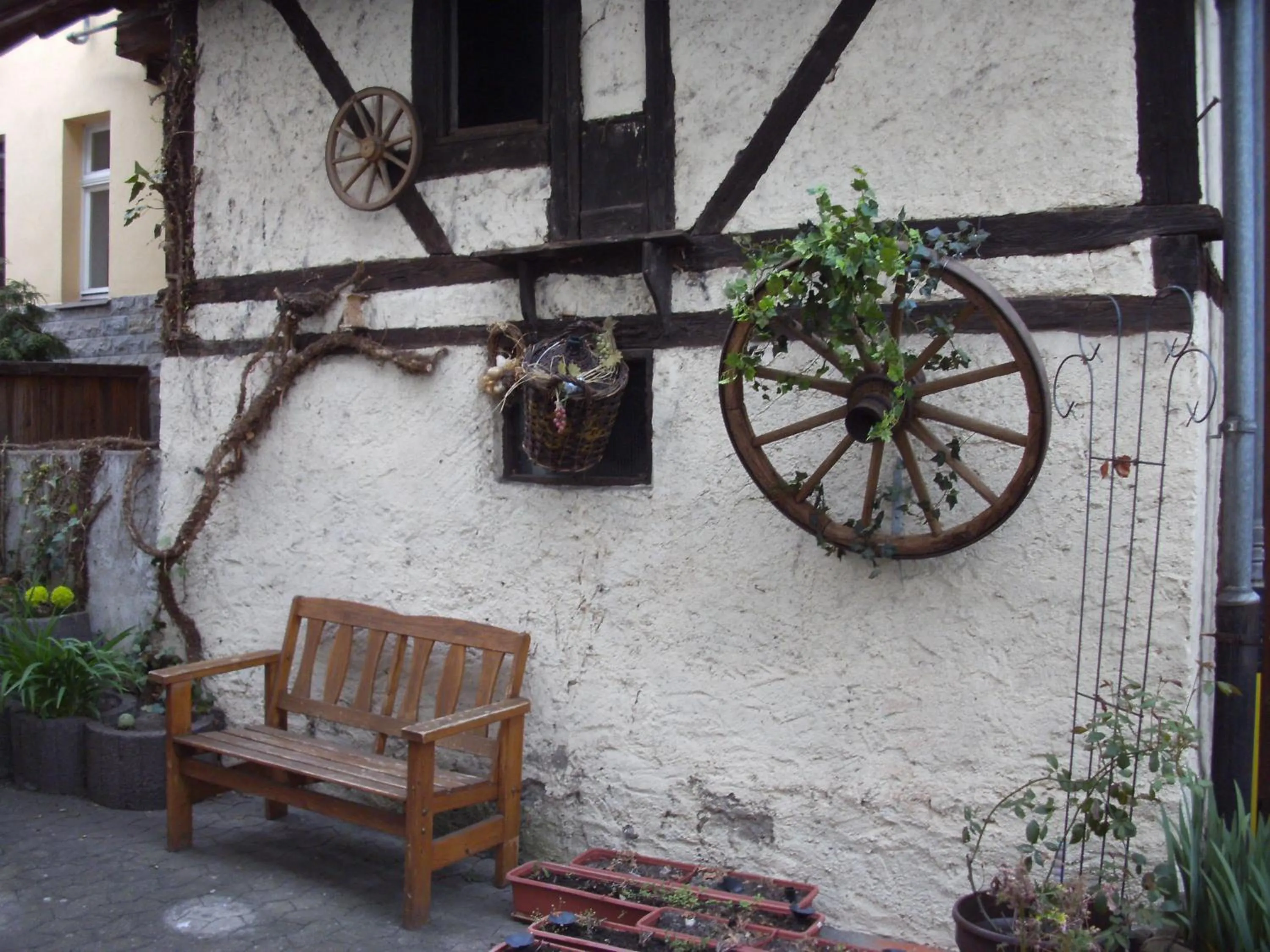 Garden in Hotel Walfisch