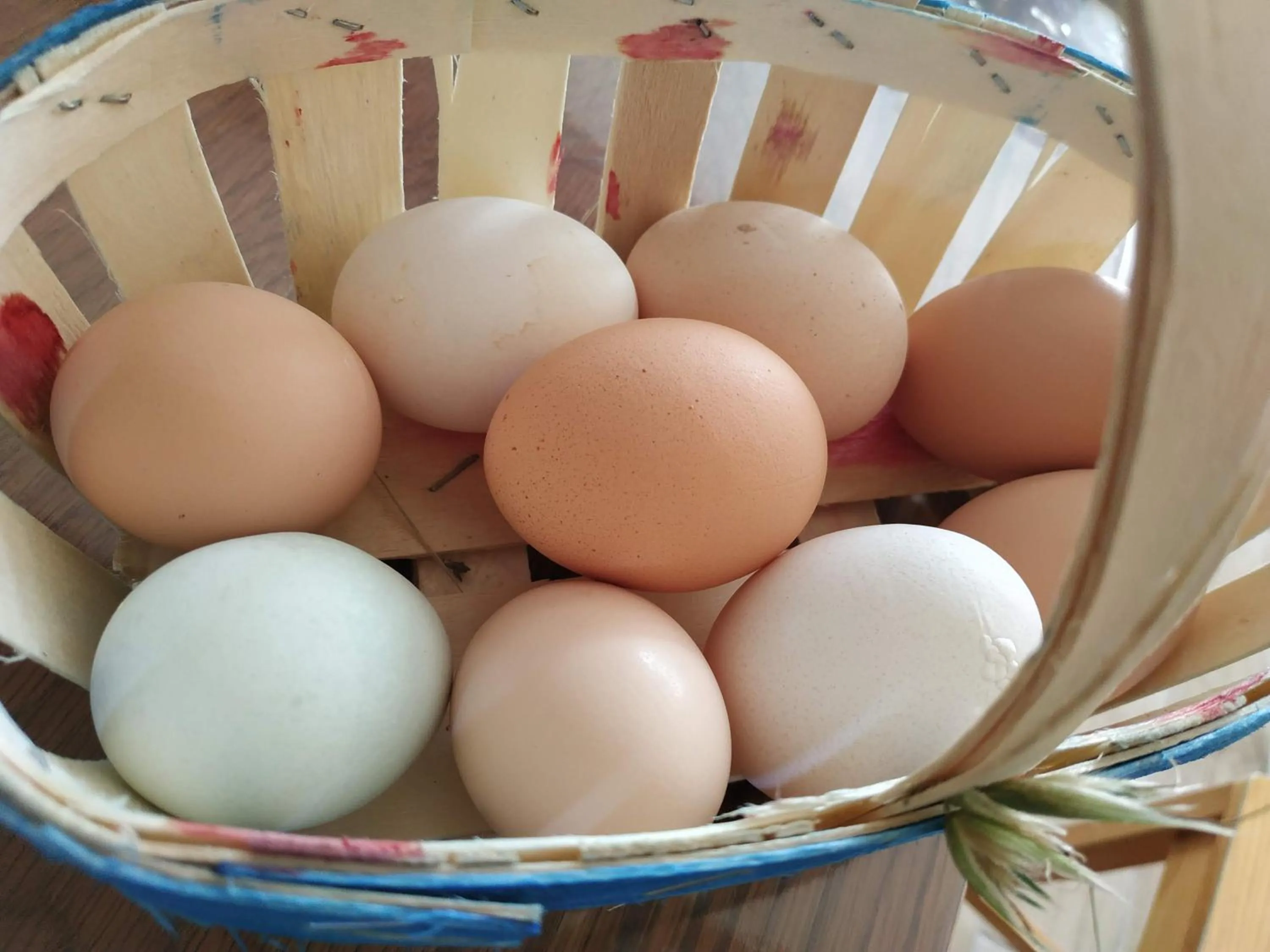 La ferme des Escampades