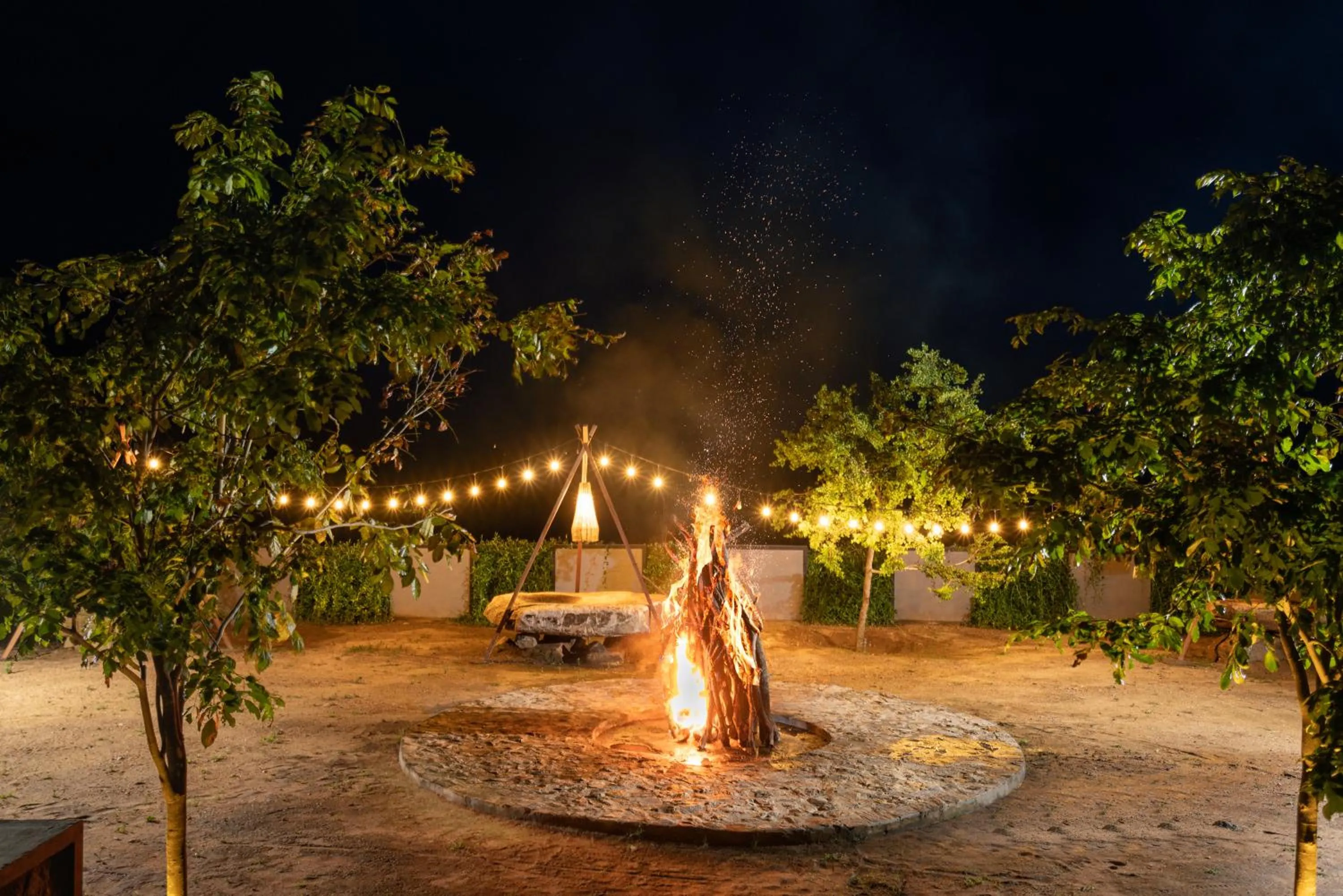 Night in Wild Culture Yala