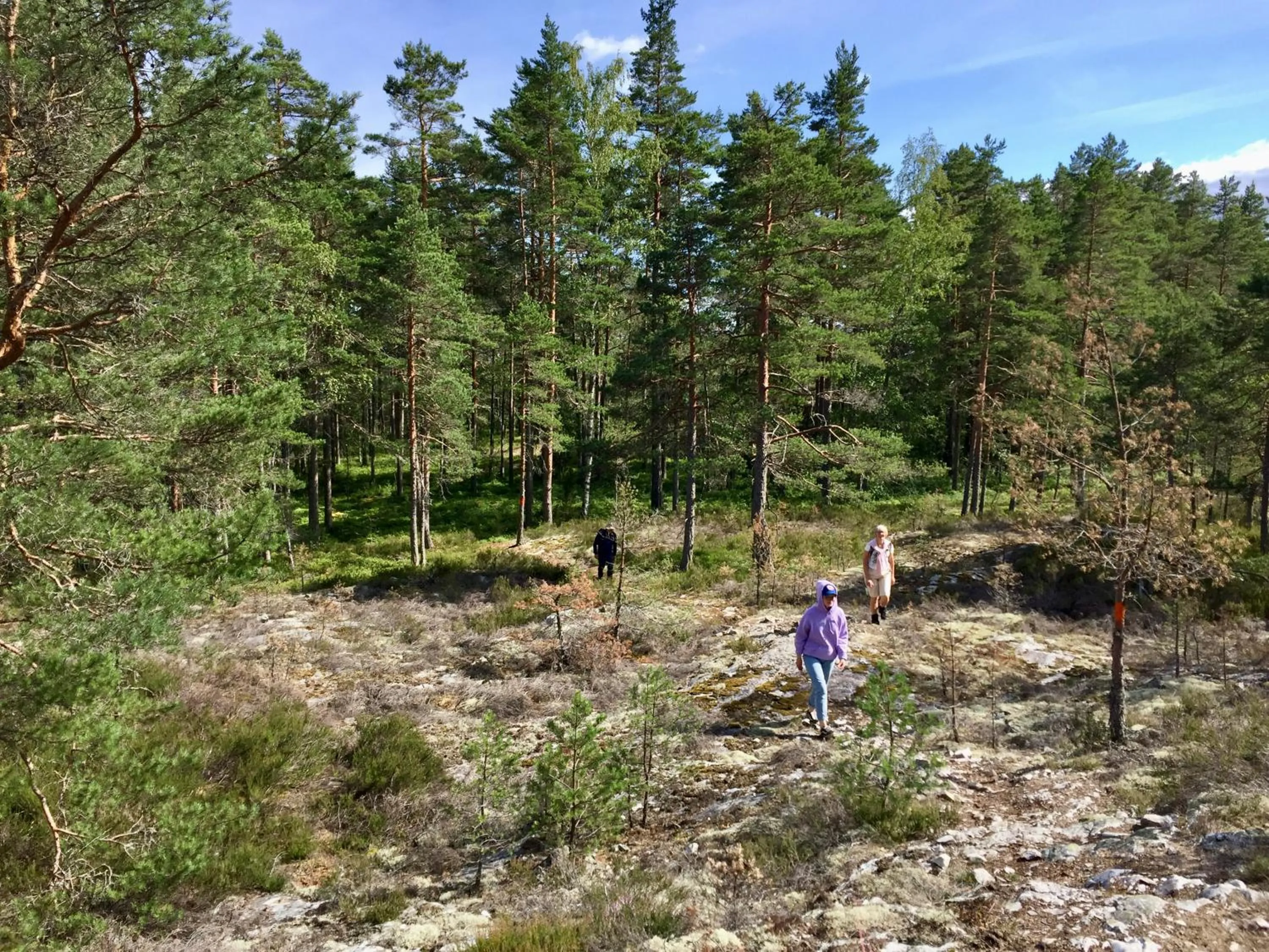 Hiking in Nordic Refuge B&B