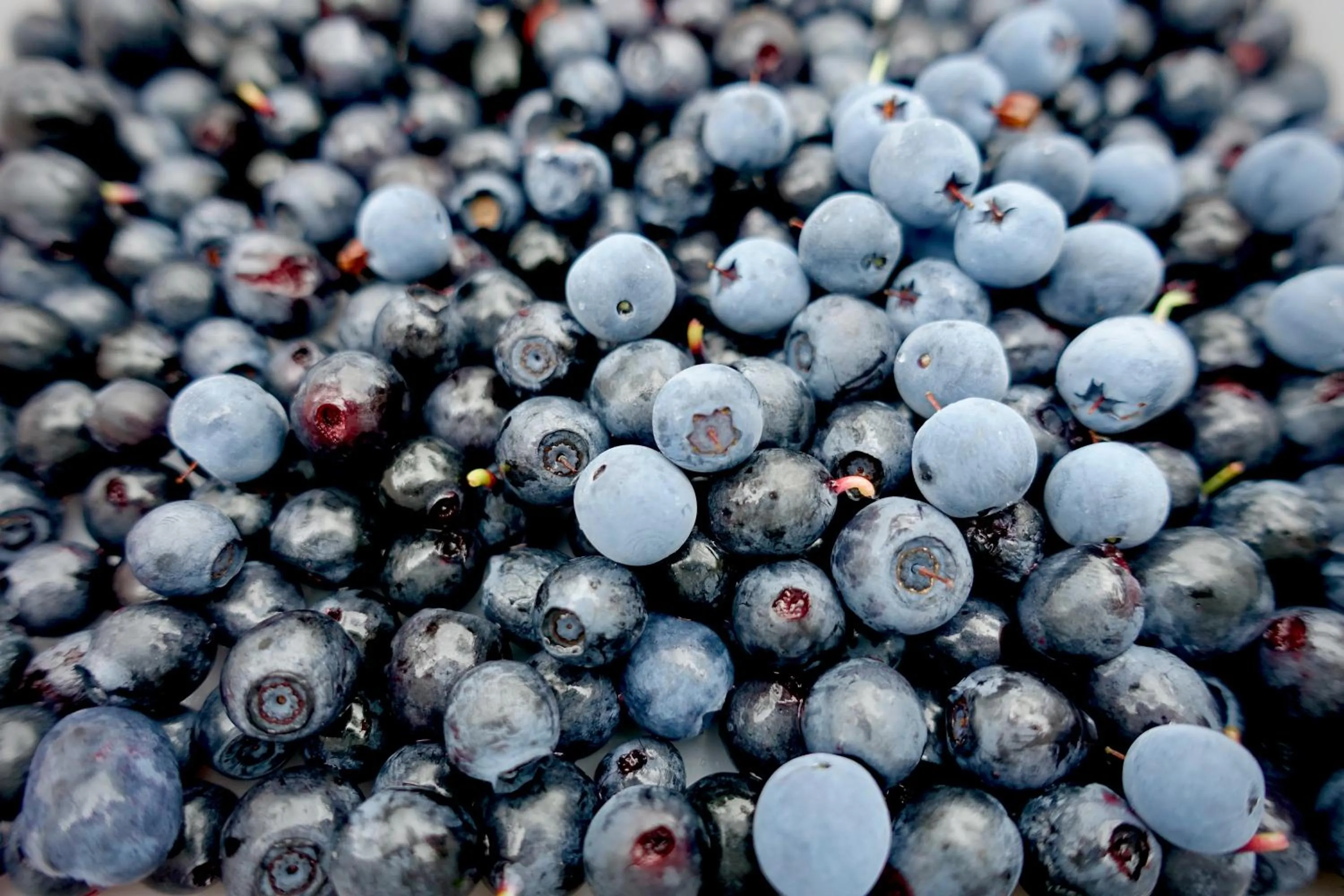 Breakfast in Nordic Refuge B&B