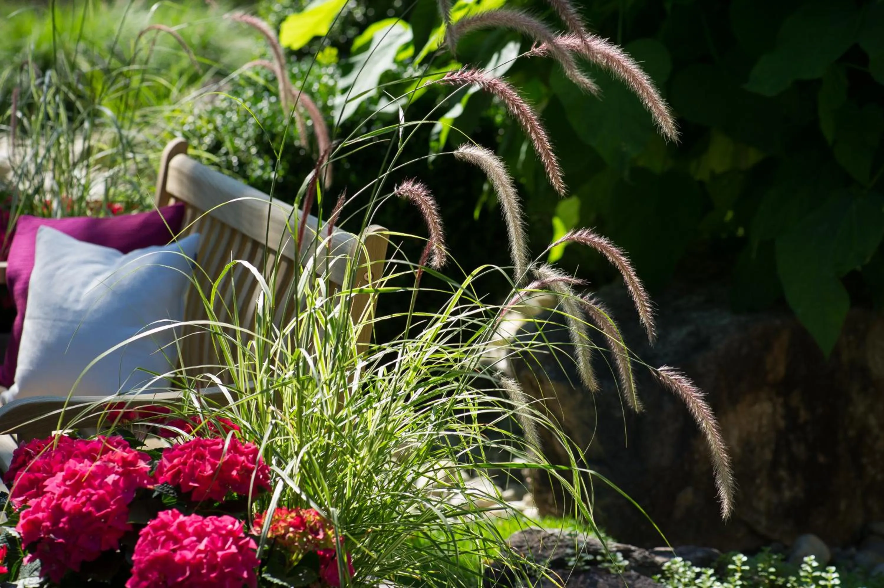 Garden in Hotel Riedenburg