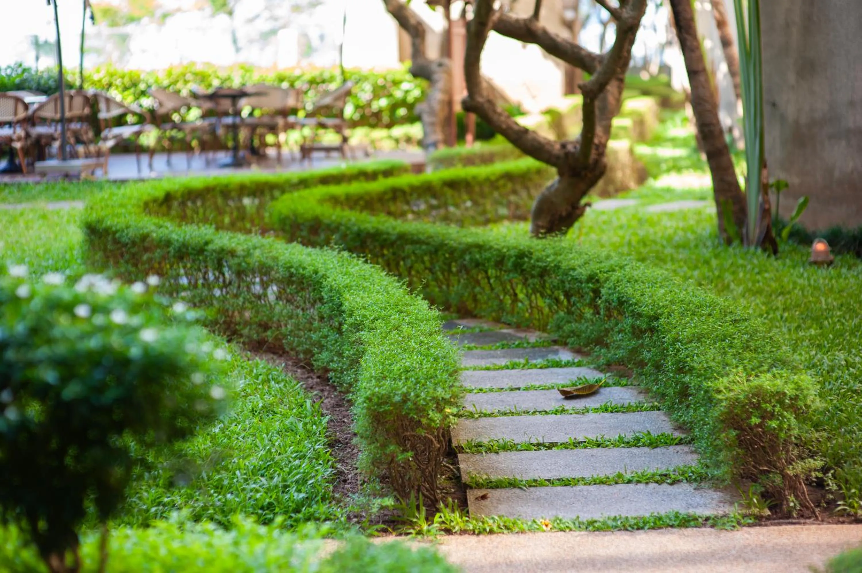 Garden in Wil'que Westlake Hotel & Residences