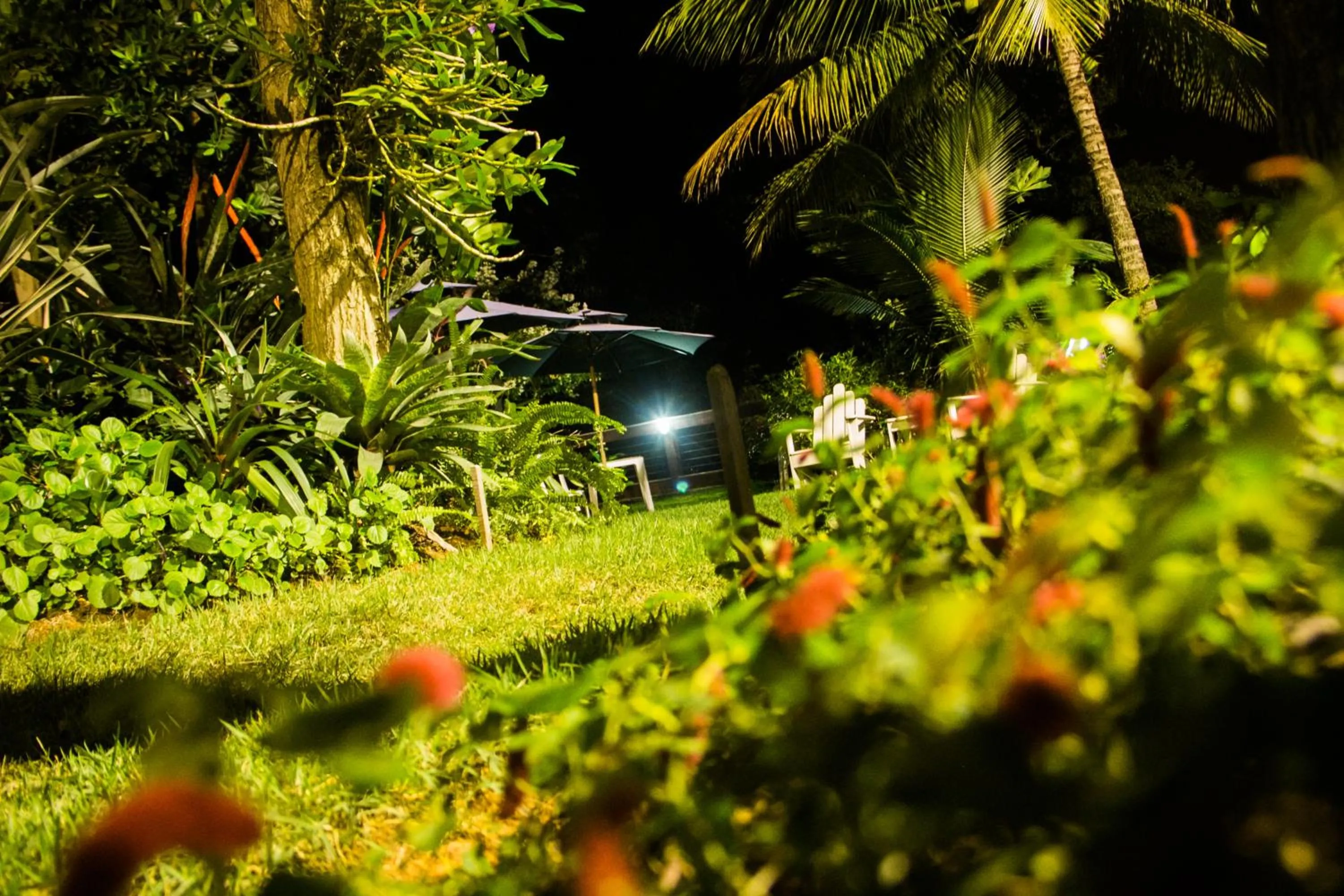 Garden view in Pousada da Mata